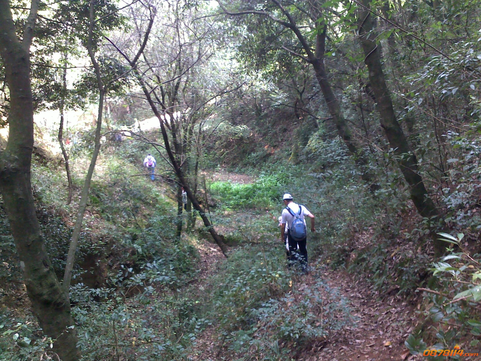 201211172774.jpg