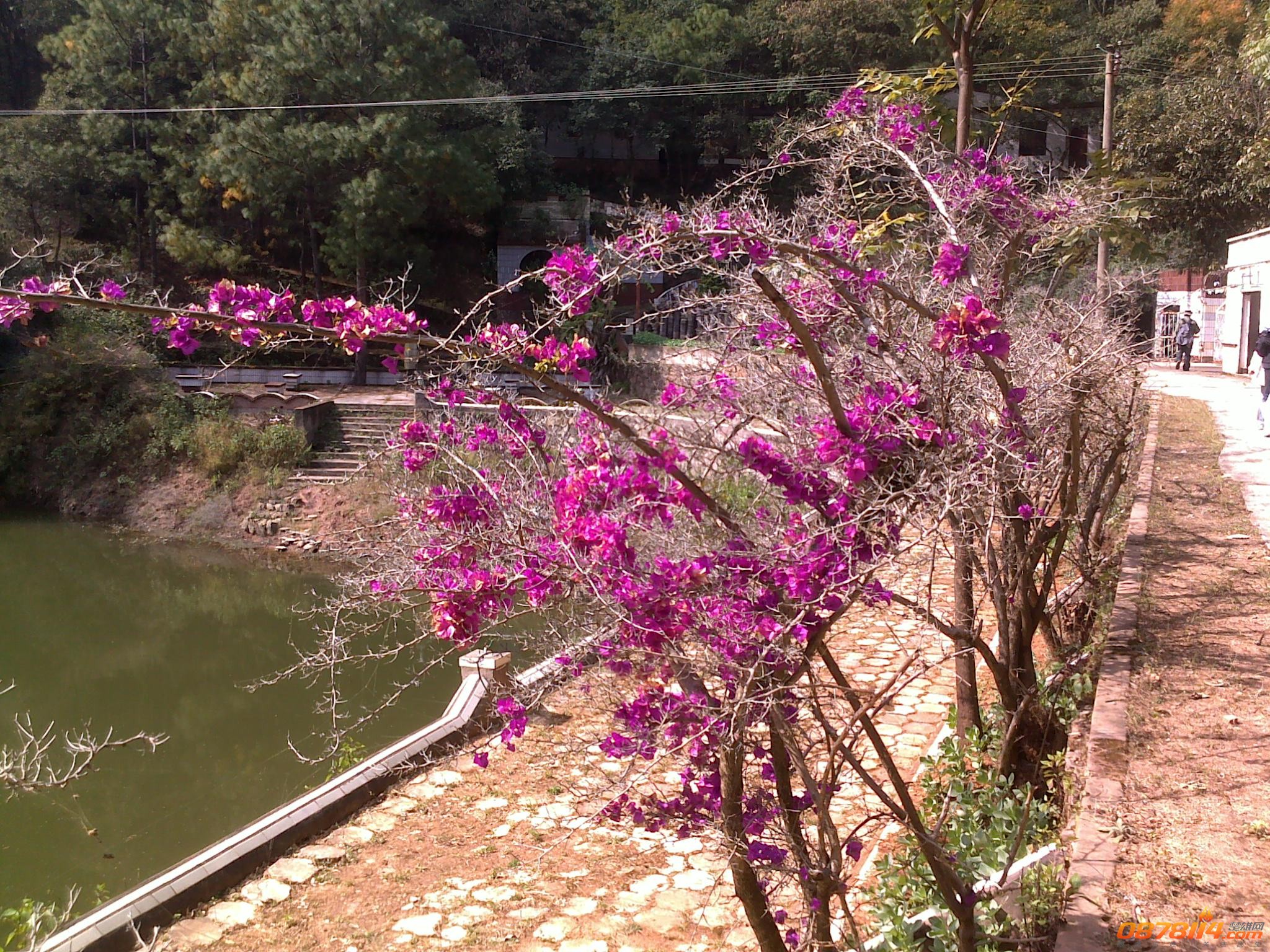 201211172777.jpg