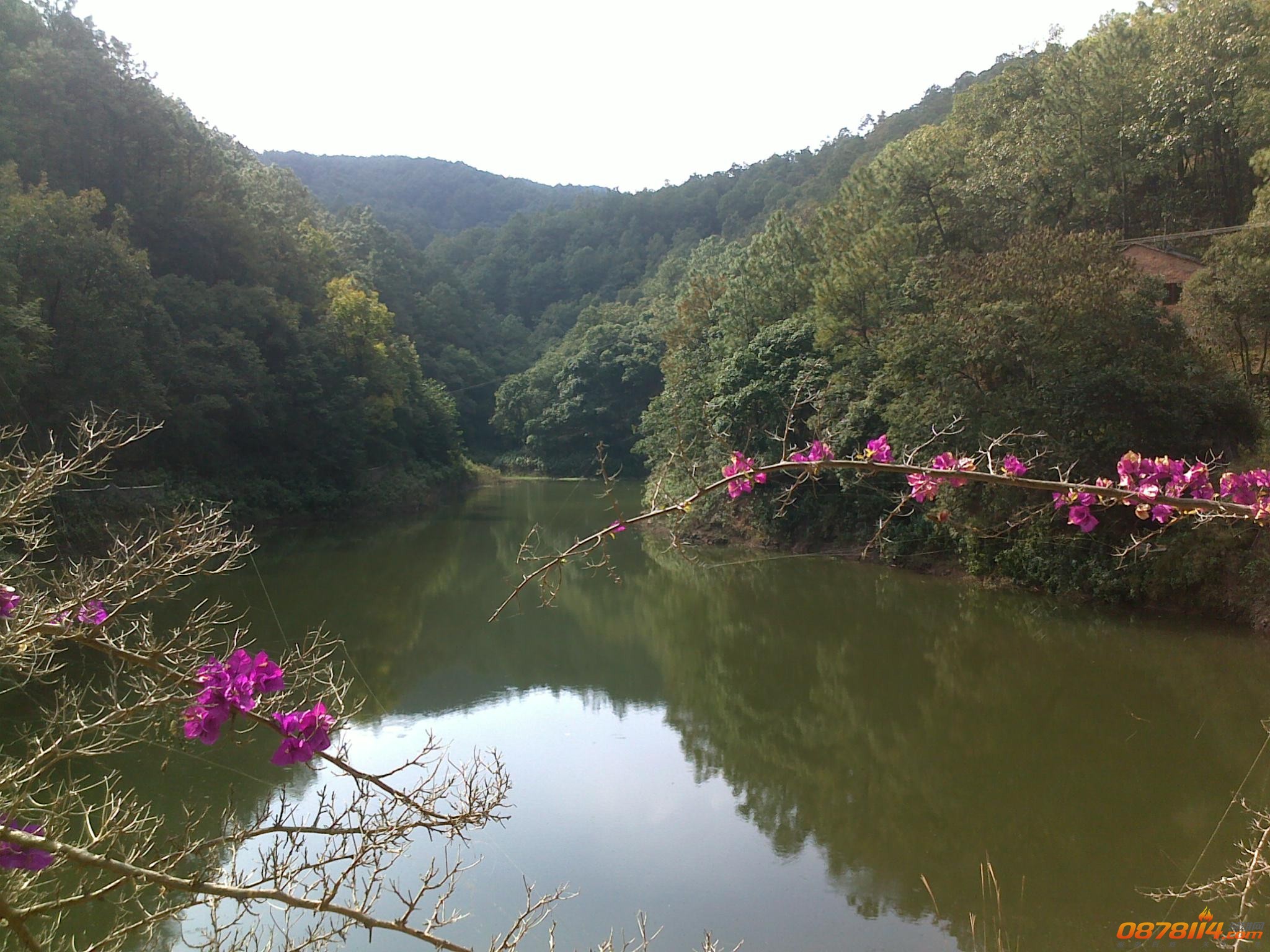 201211172779.jpg