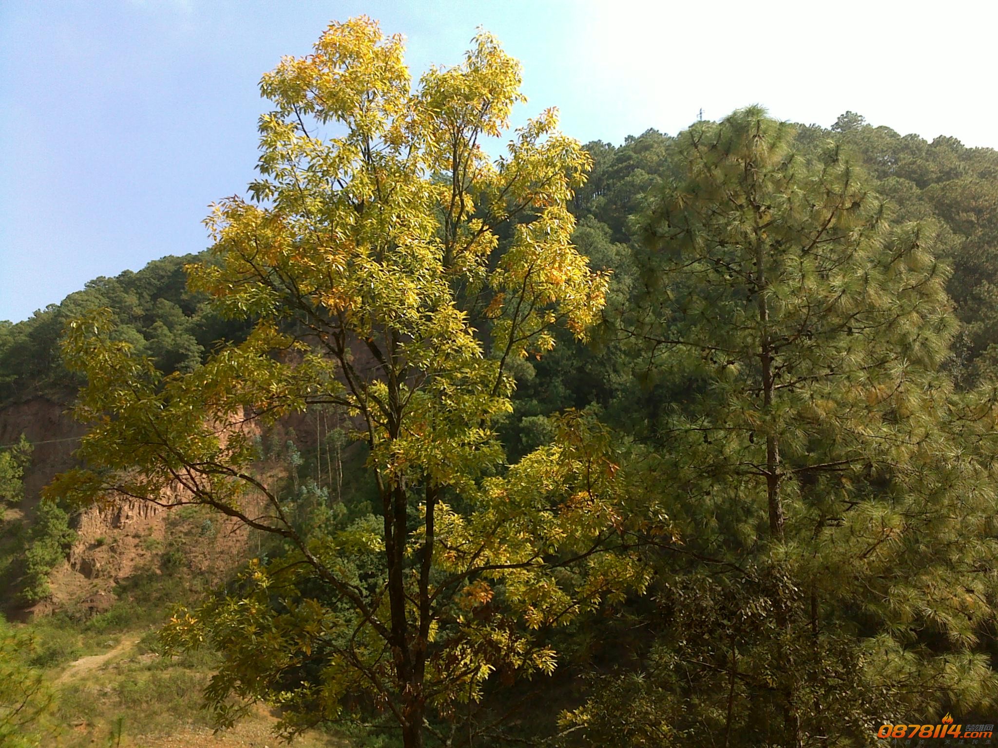201211172783.jpg