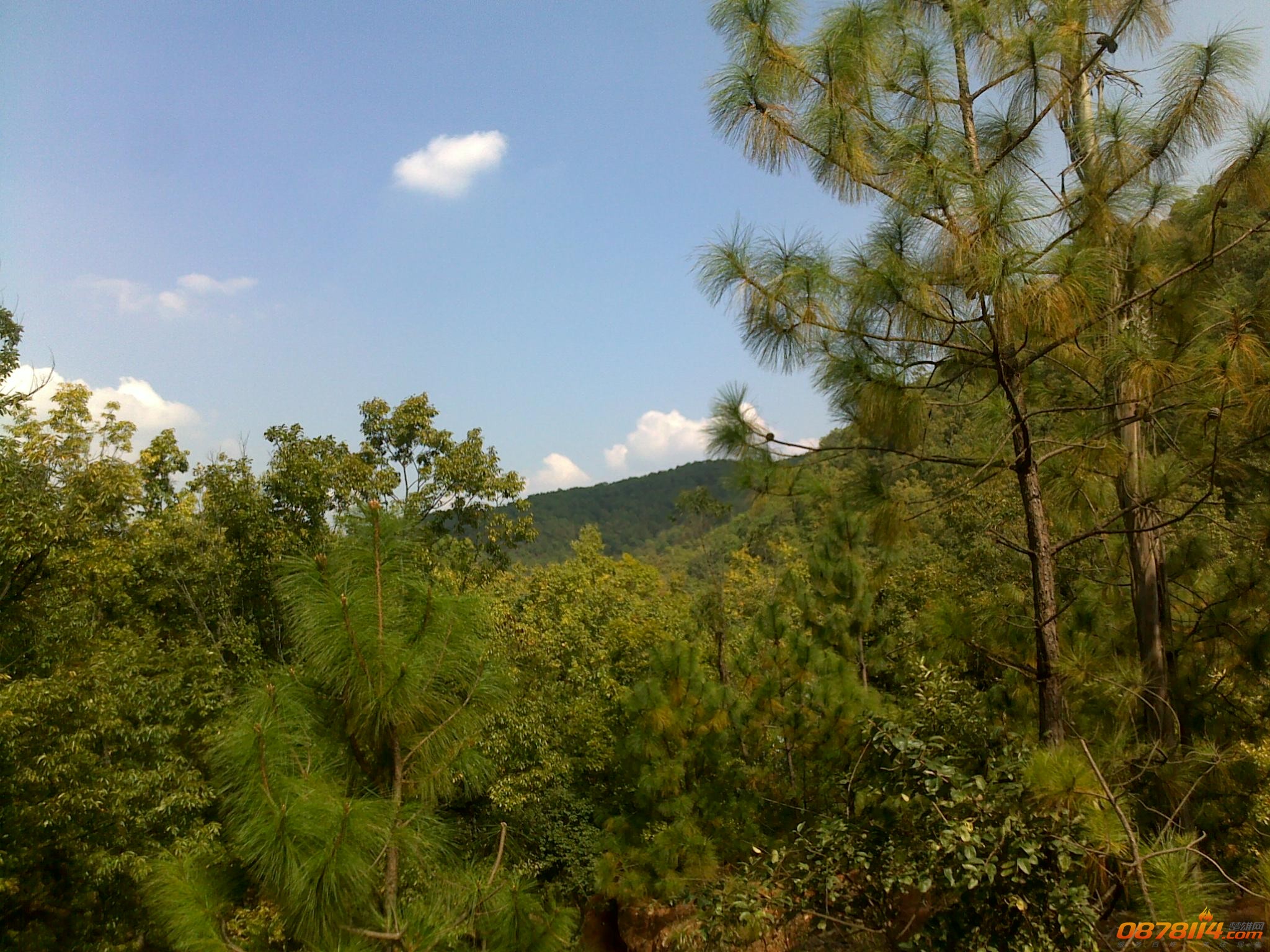 201211172786.jpg