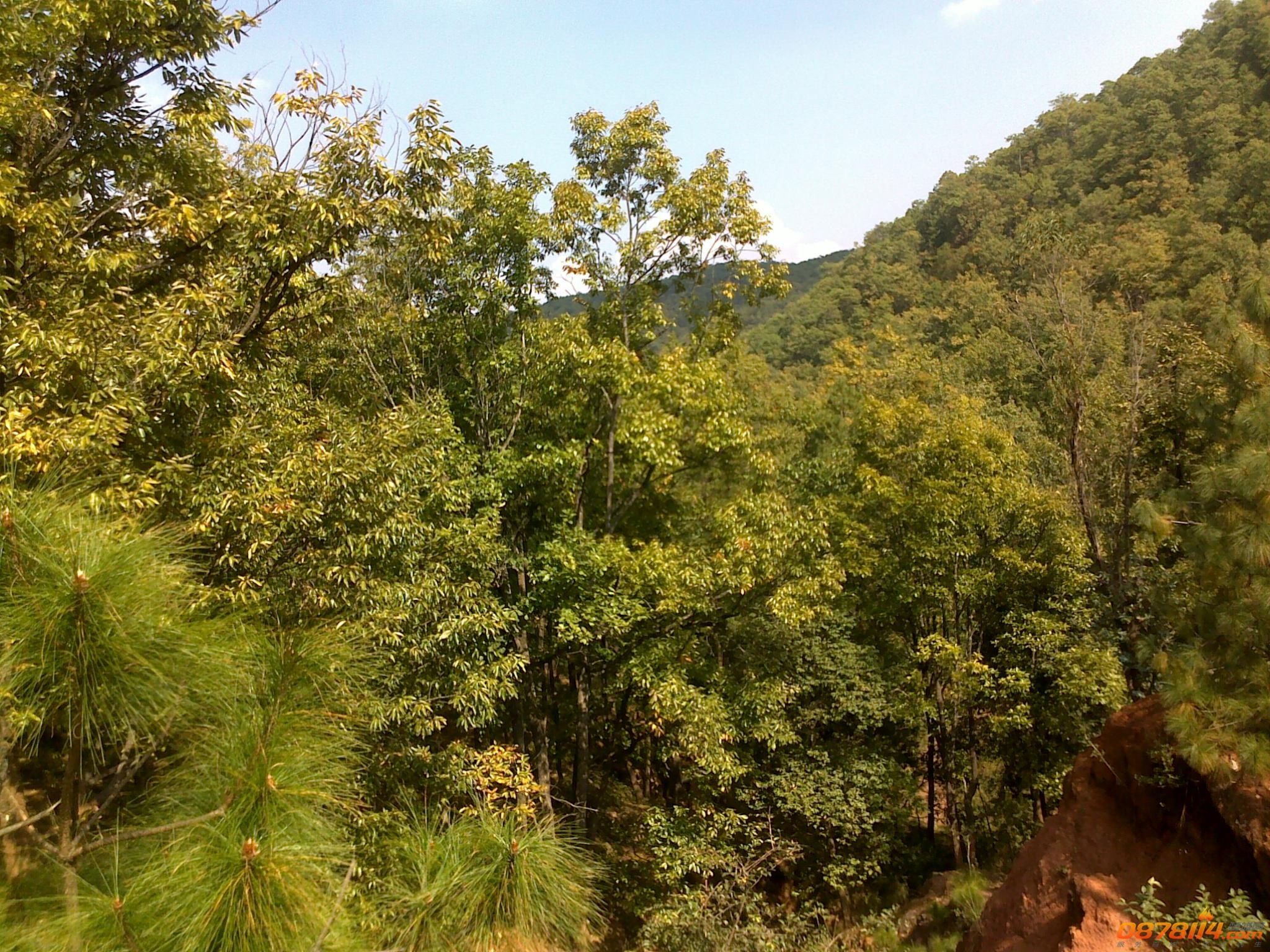201211172787.jpg