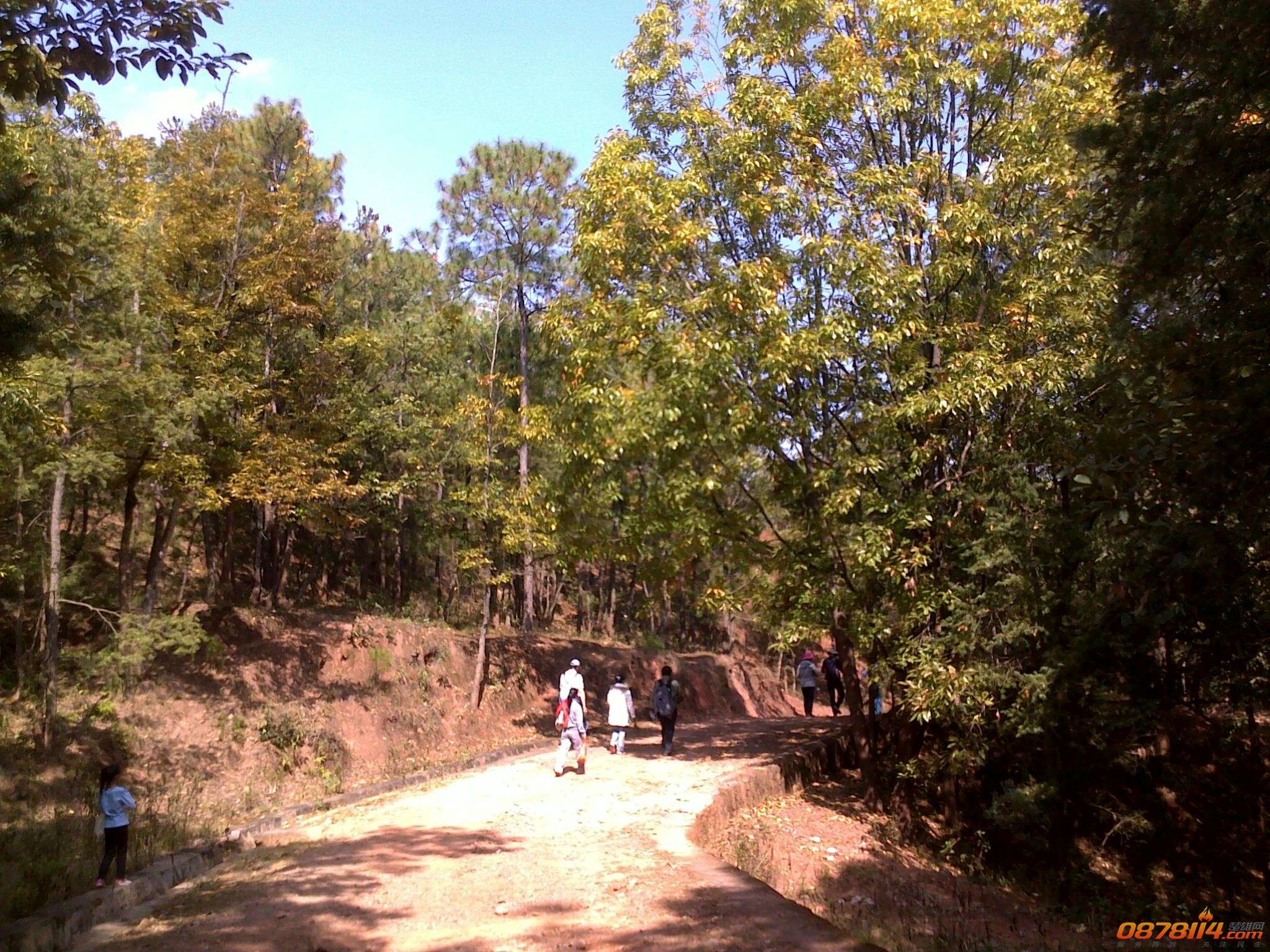 201211172788.jpg