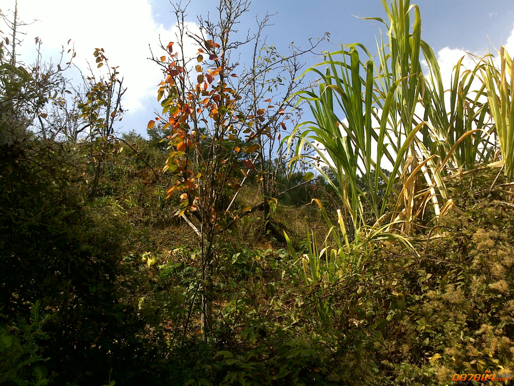 201211172790.jpg