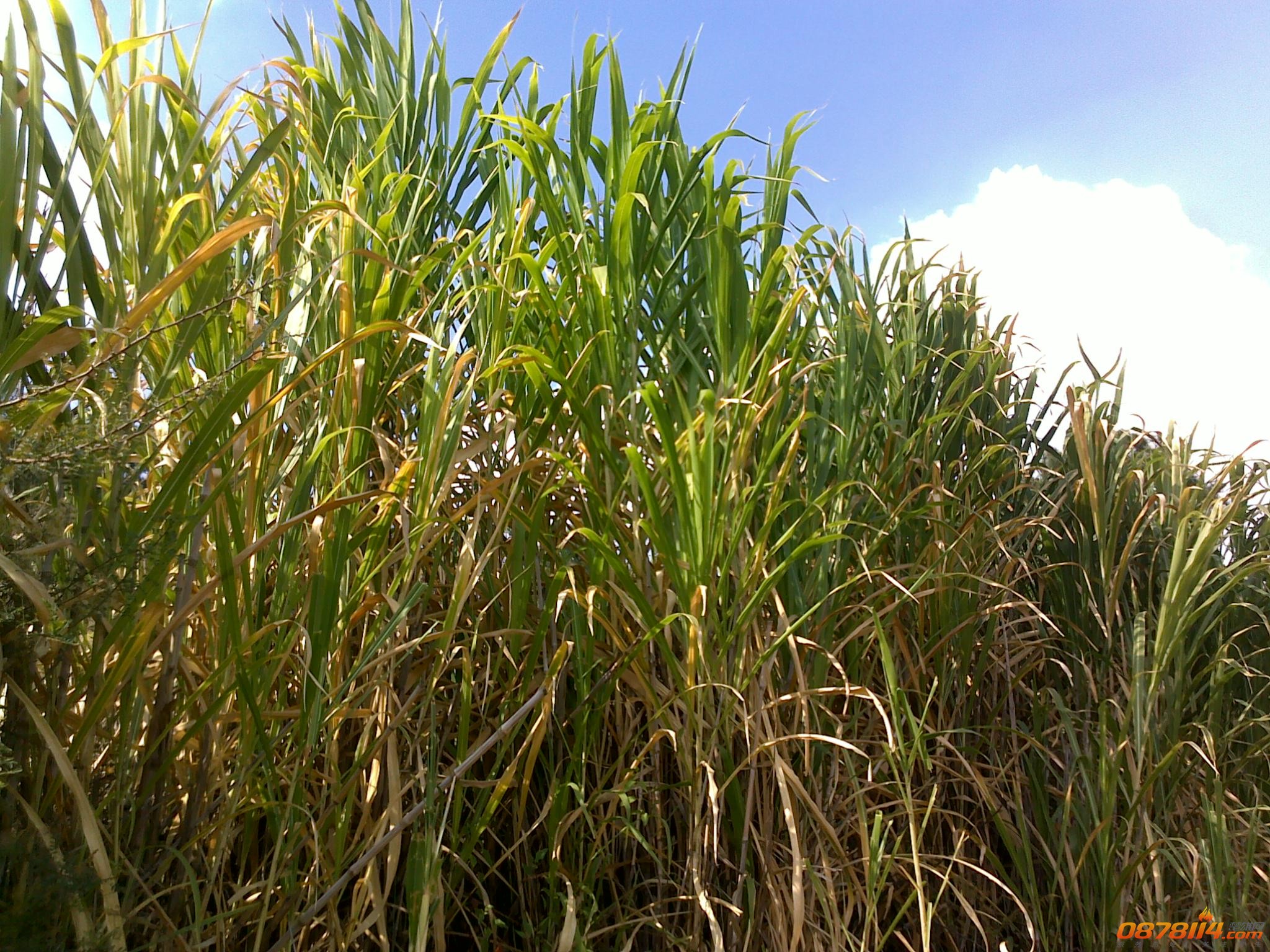 201211172791.jpg