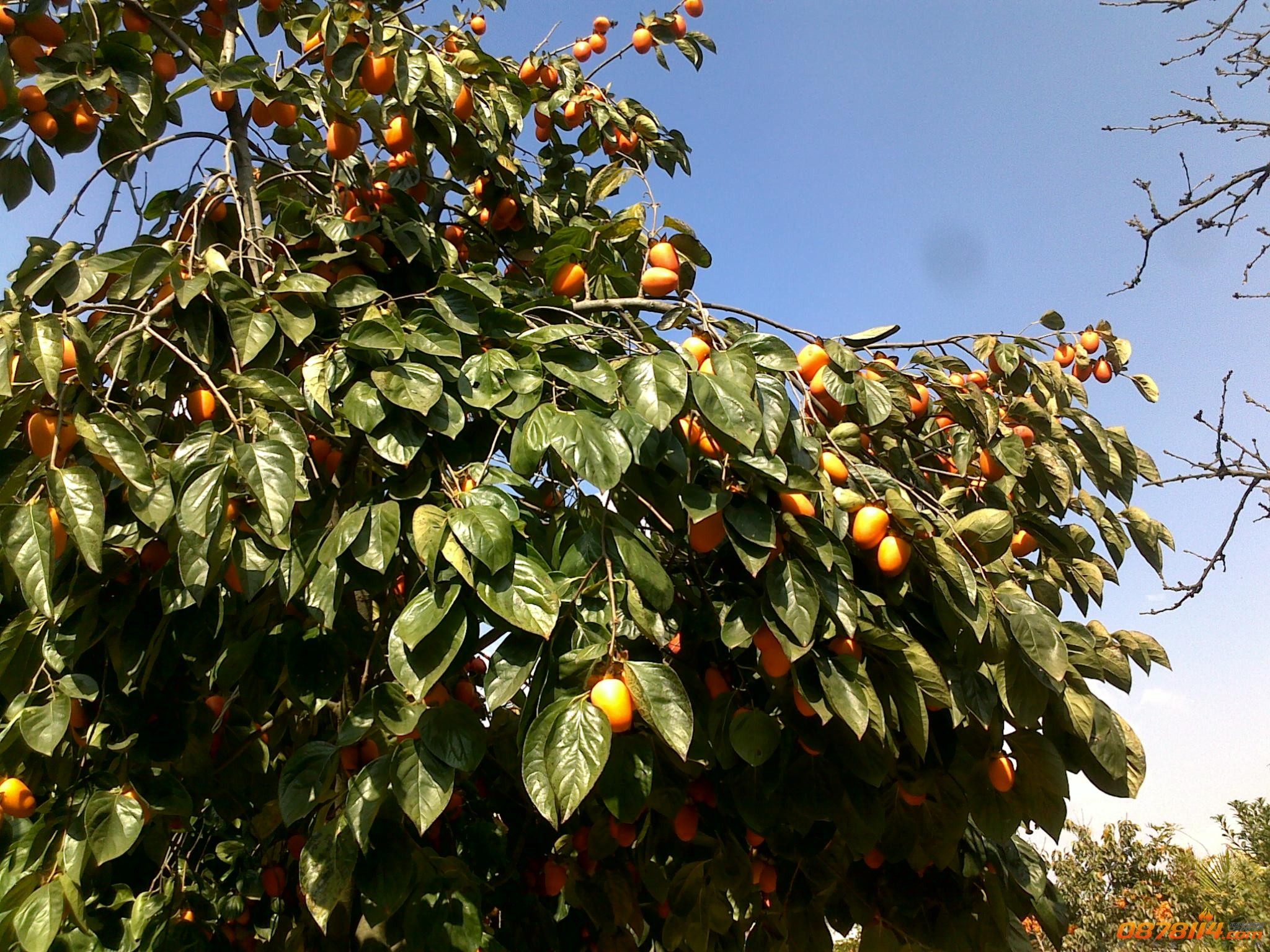 201211172798.jpg