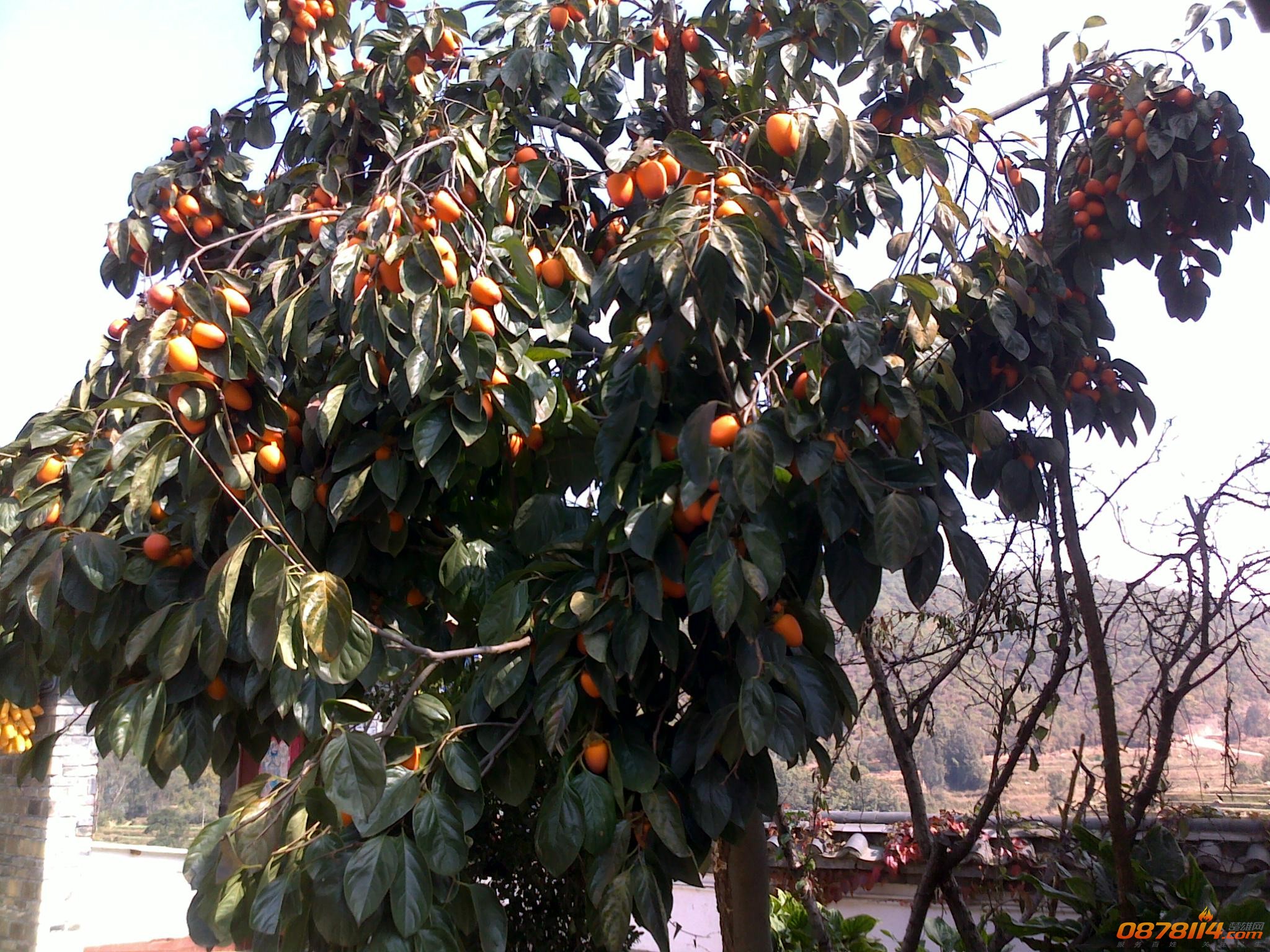 201211172802.jpg