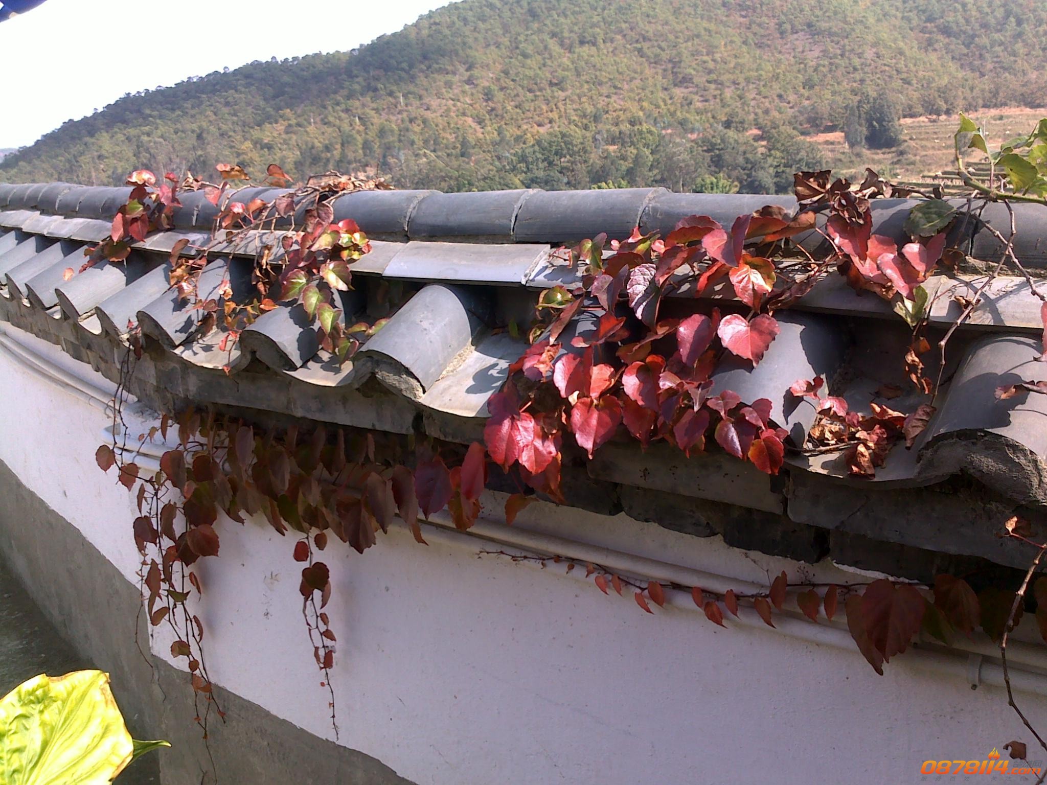 201211172803.jpg