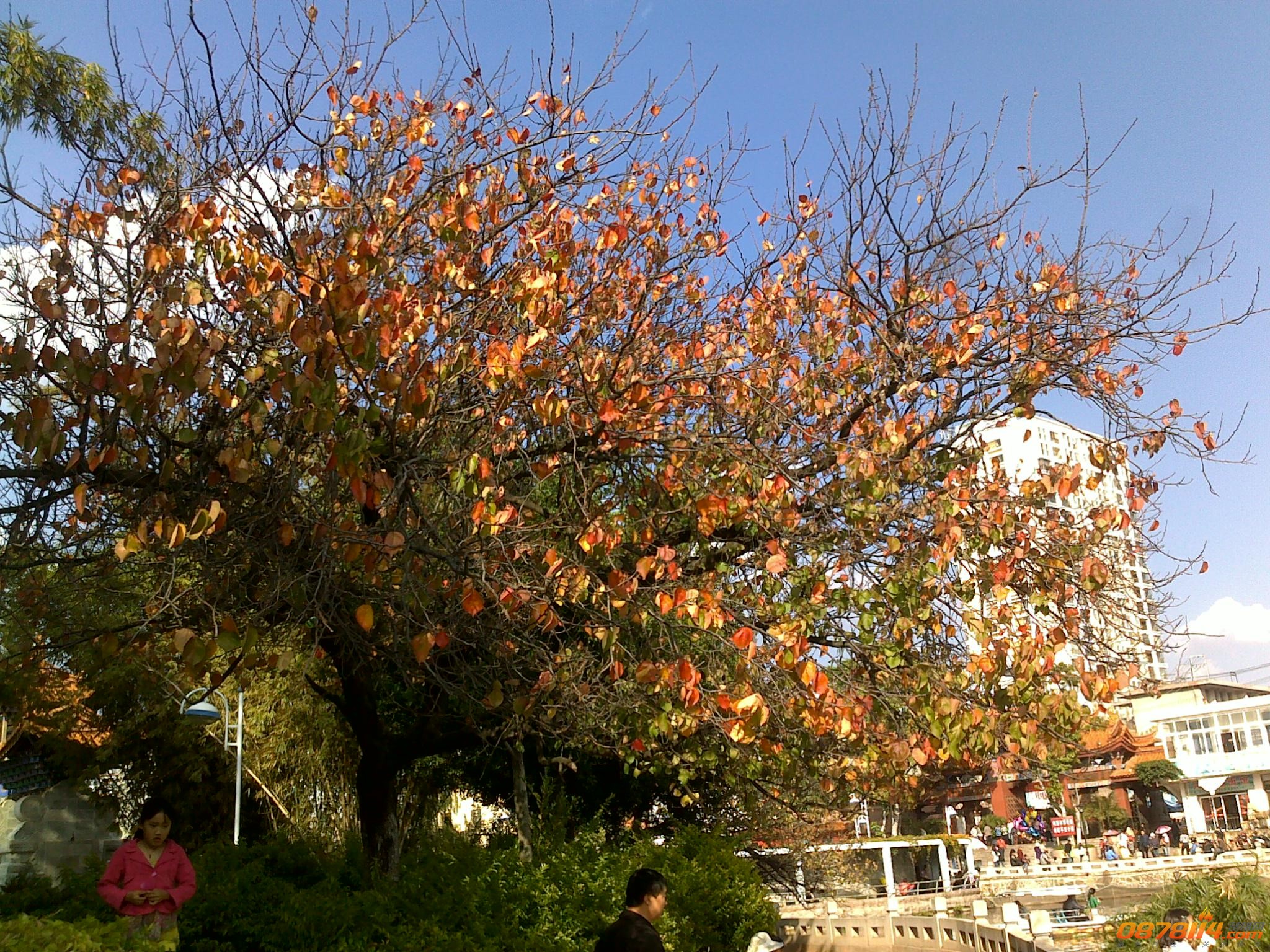 201211172806.jpg