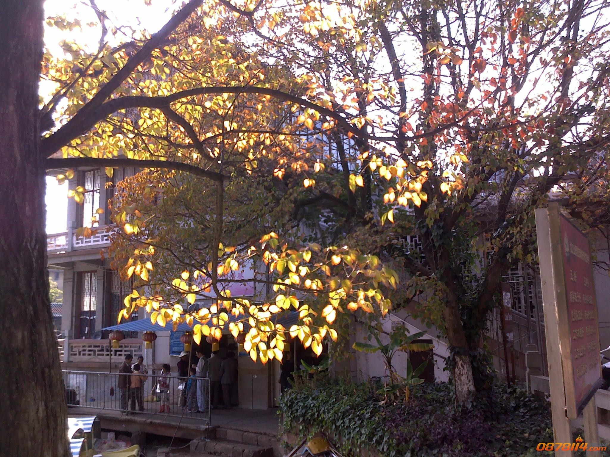 201211172810.jpg