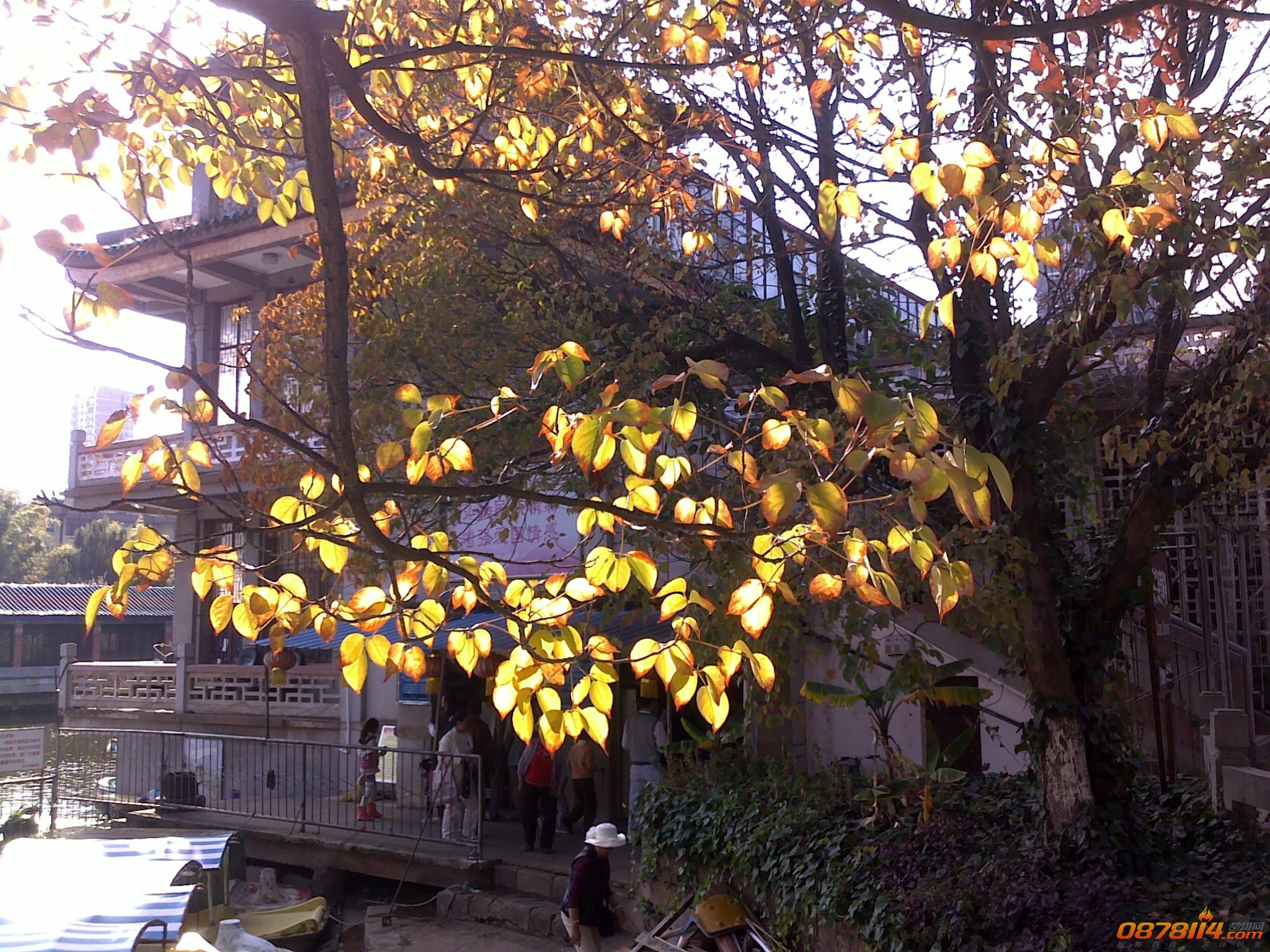 201211172811.jpg