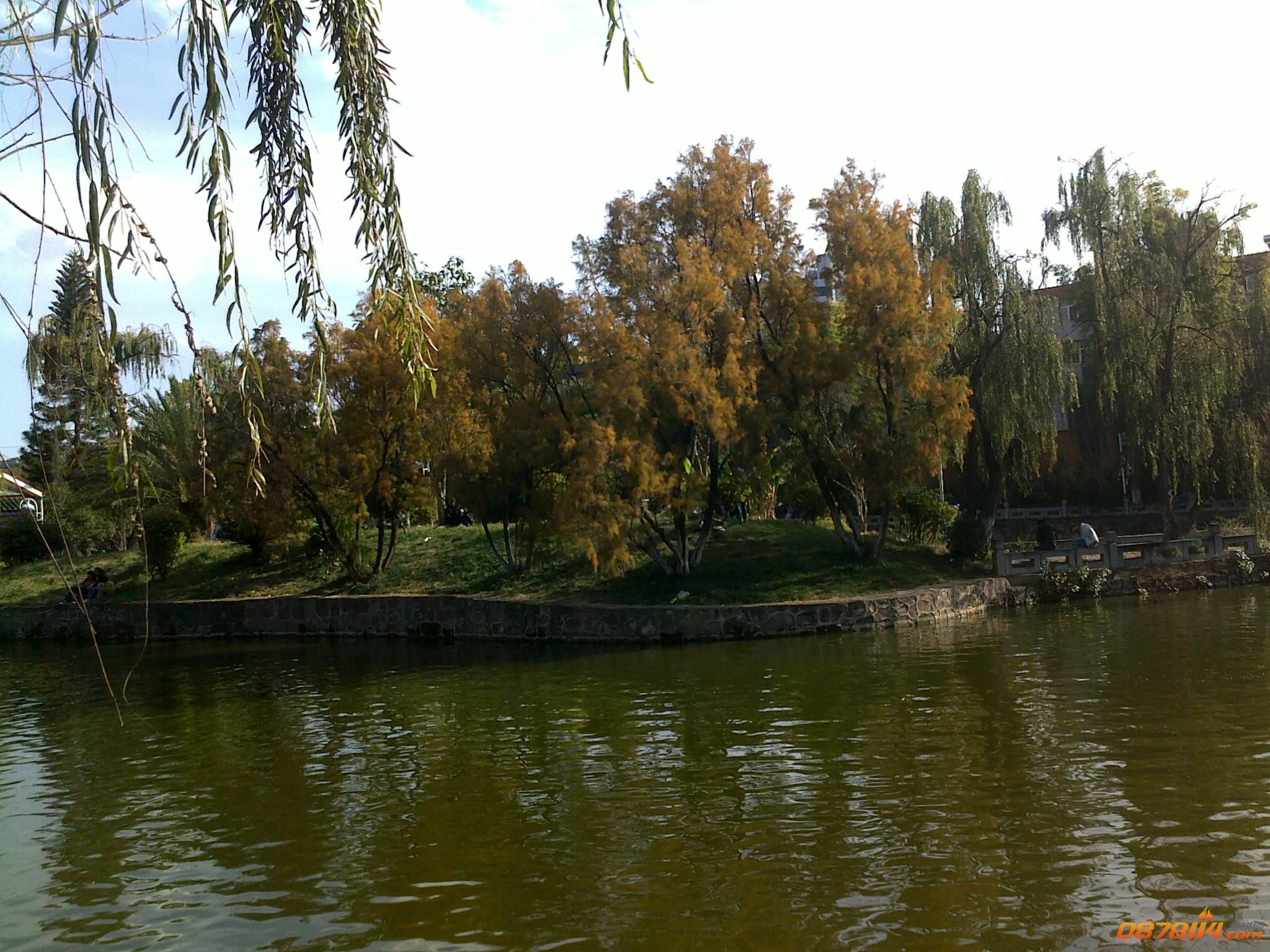 201211172816.jpg