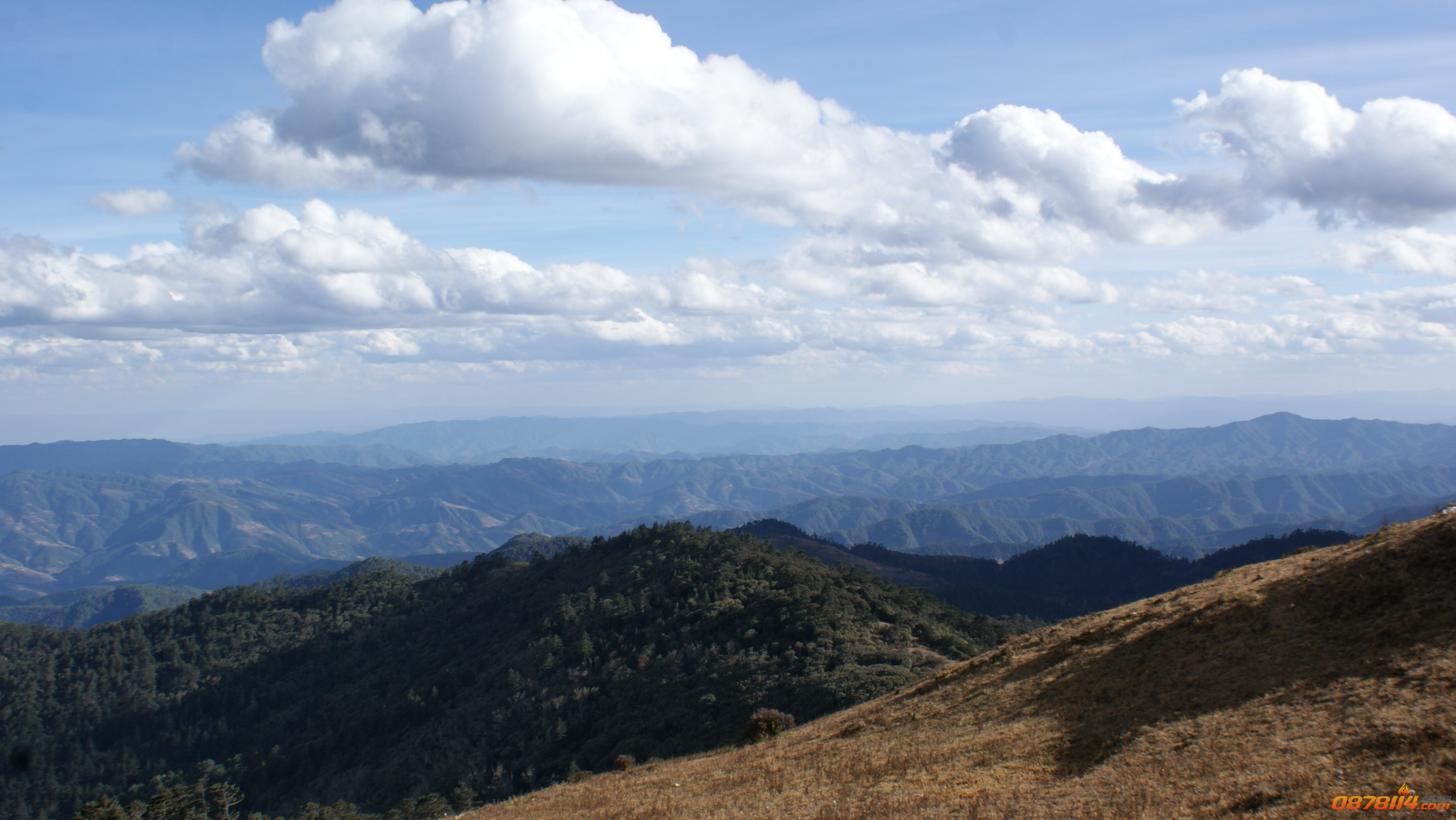 DSC08018.JPG