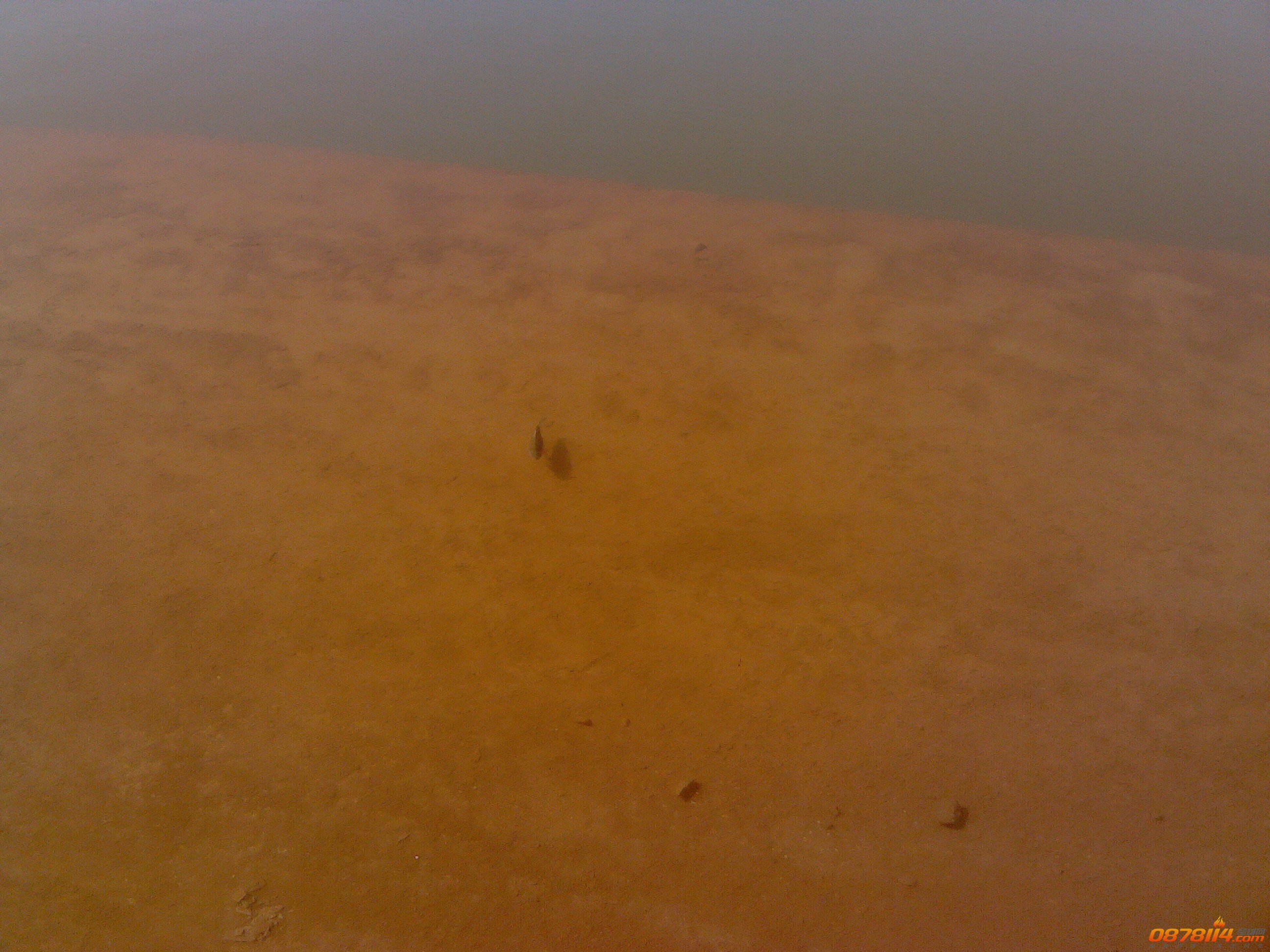 IMG_20121021_104550.jpg