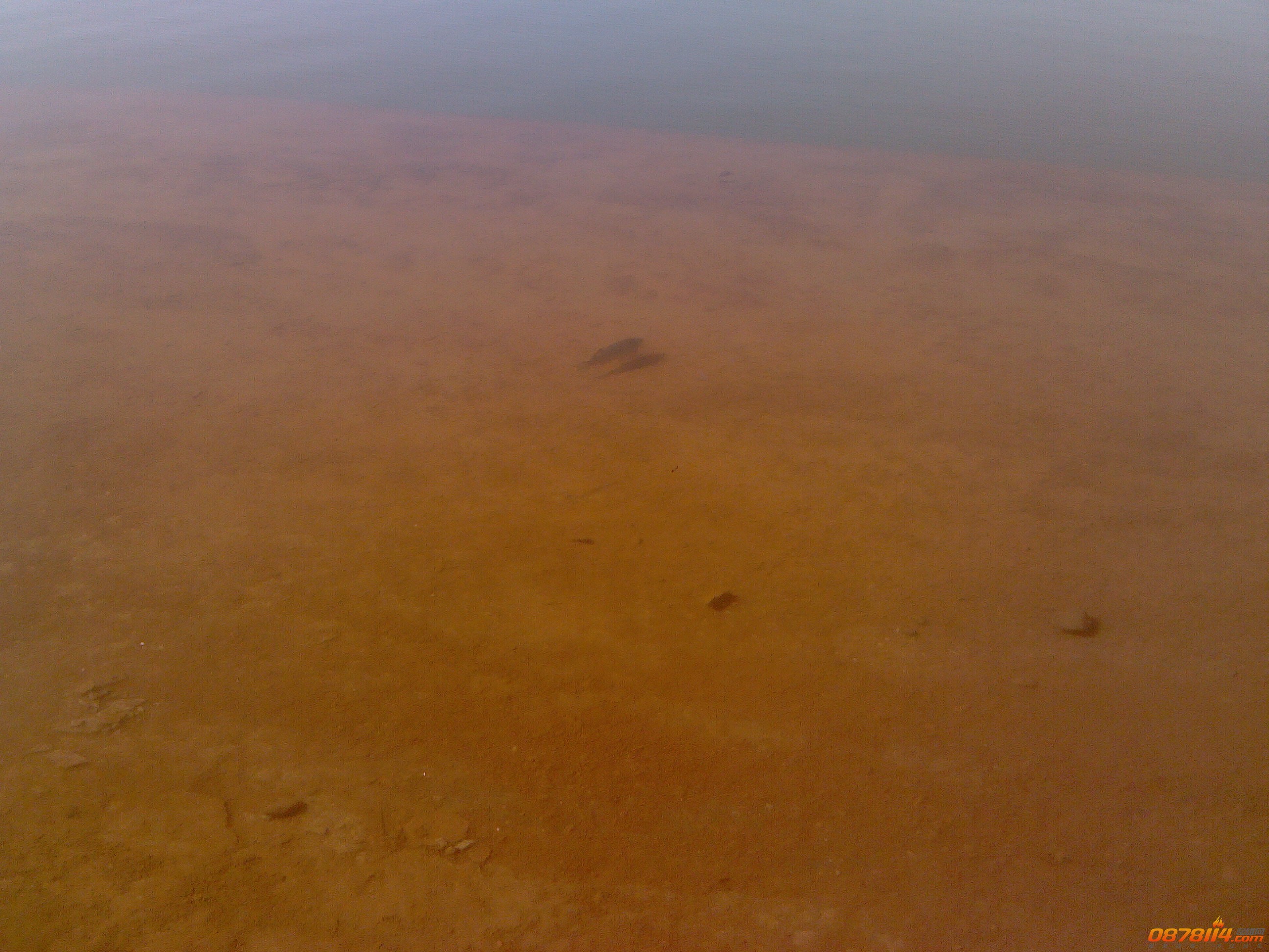 IMG_20121021_104603.jpg