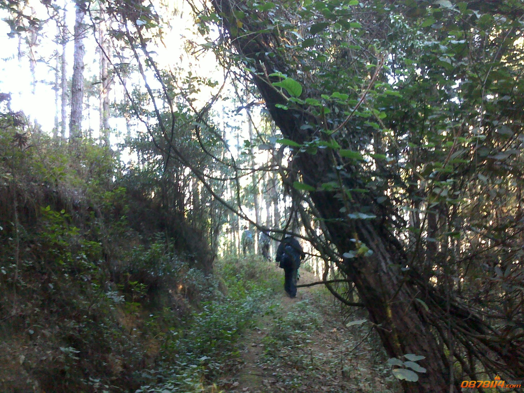 201211262879.jpg