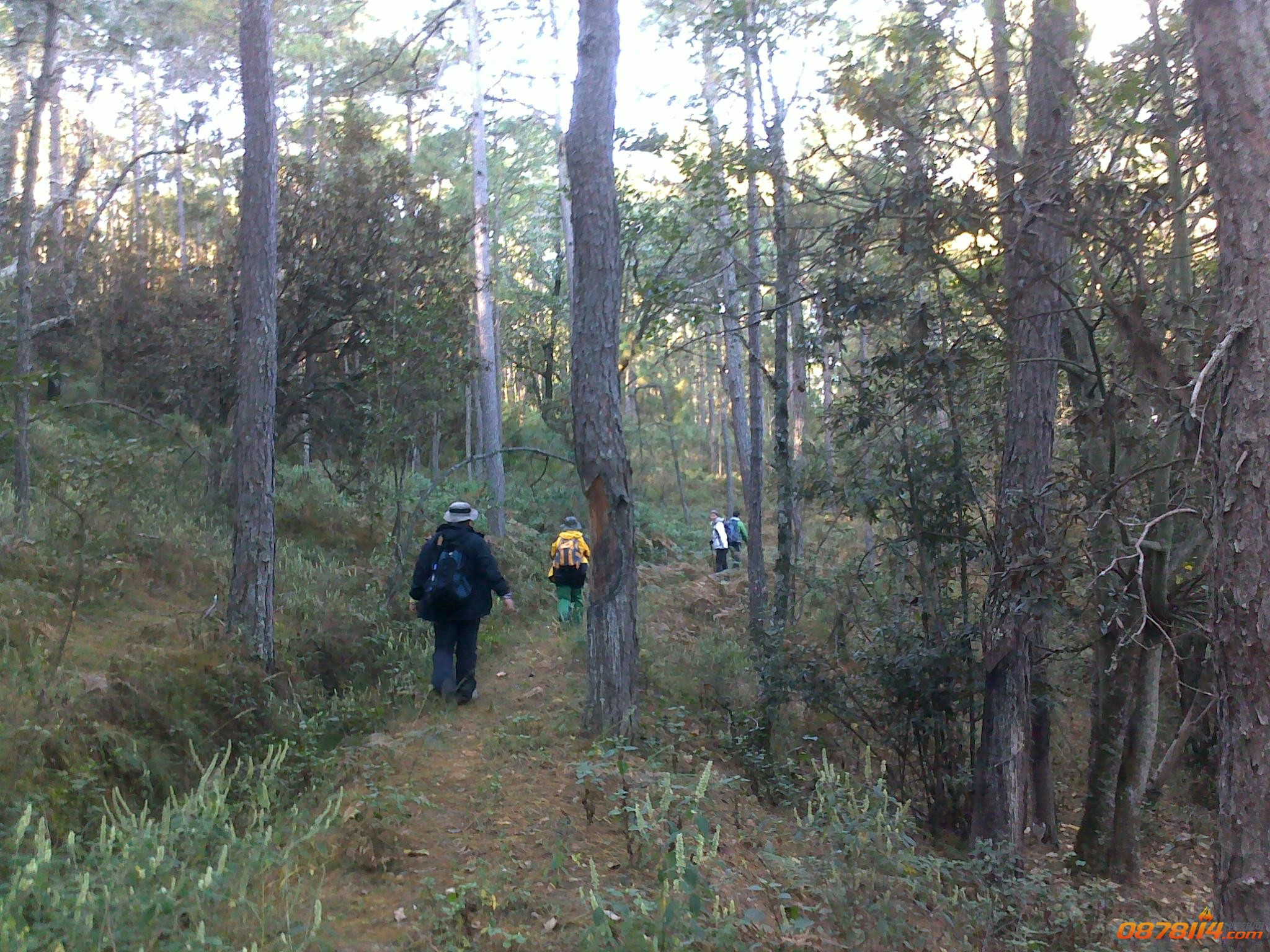 201211262881.jpg