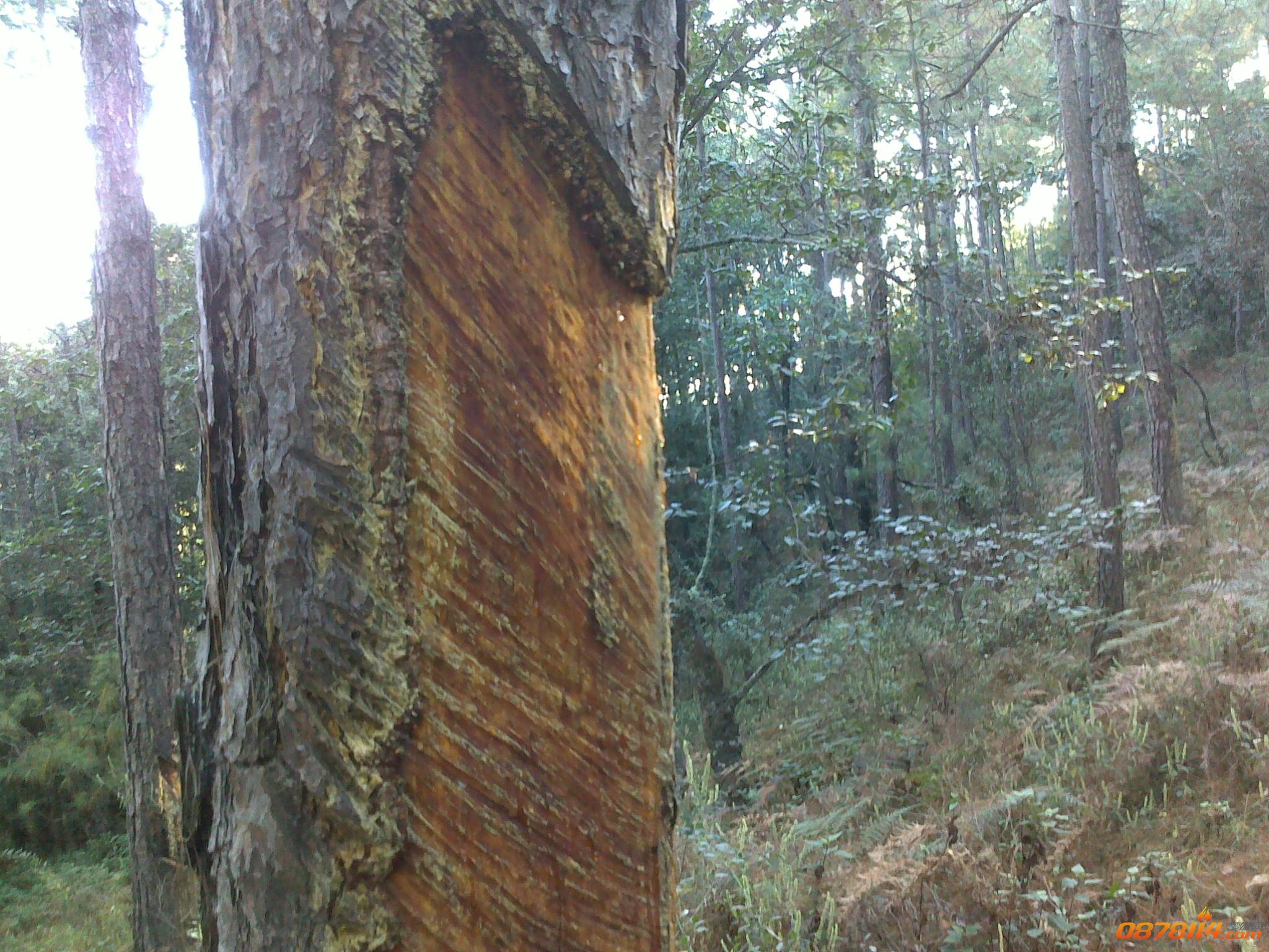 201211262882.jpg