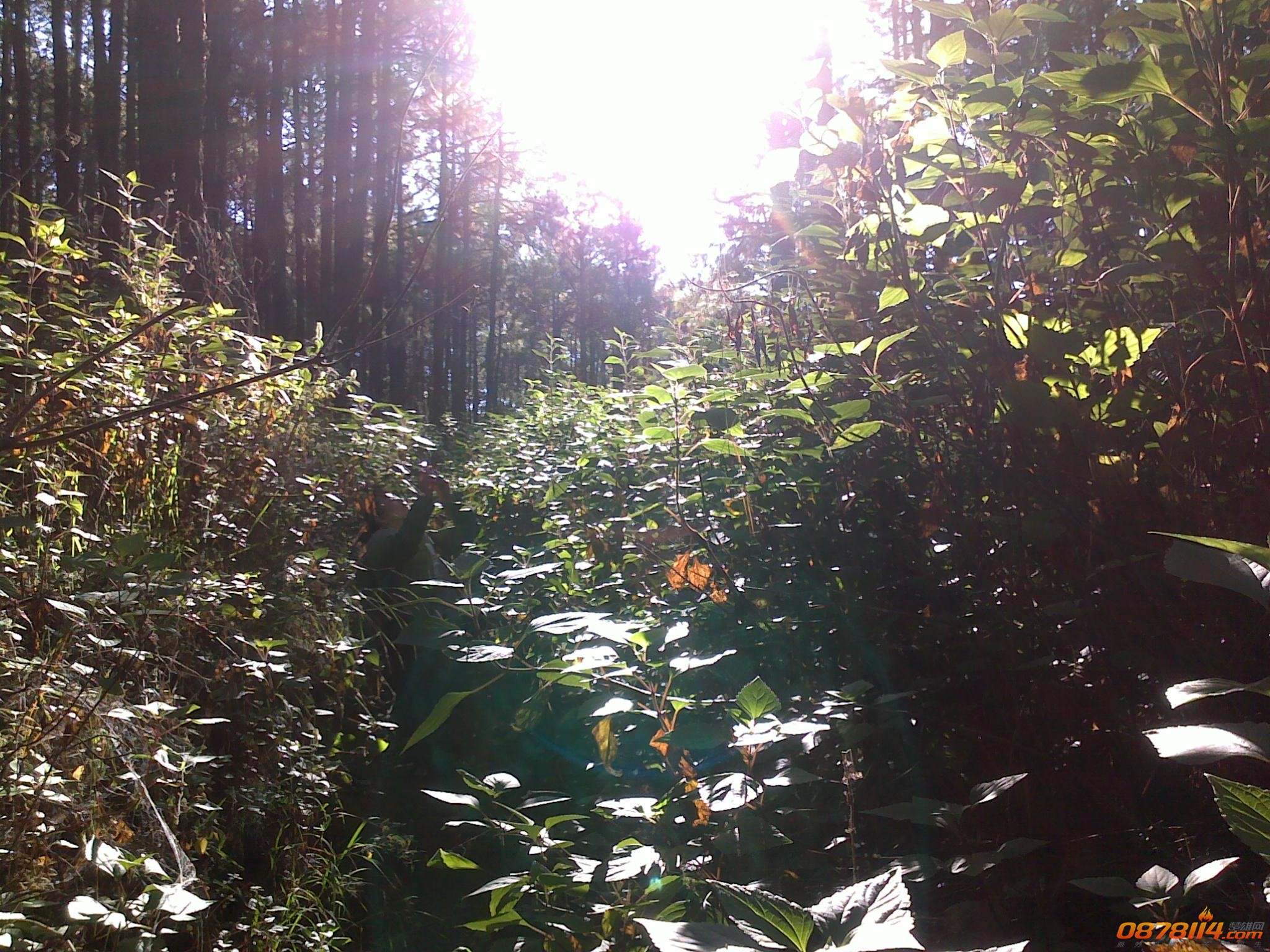 201211262887.jpg