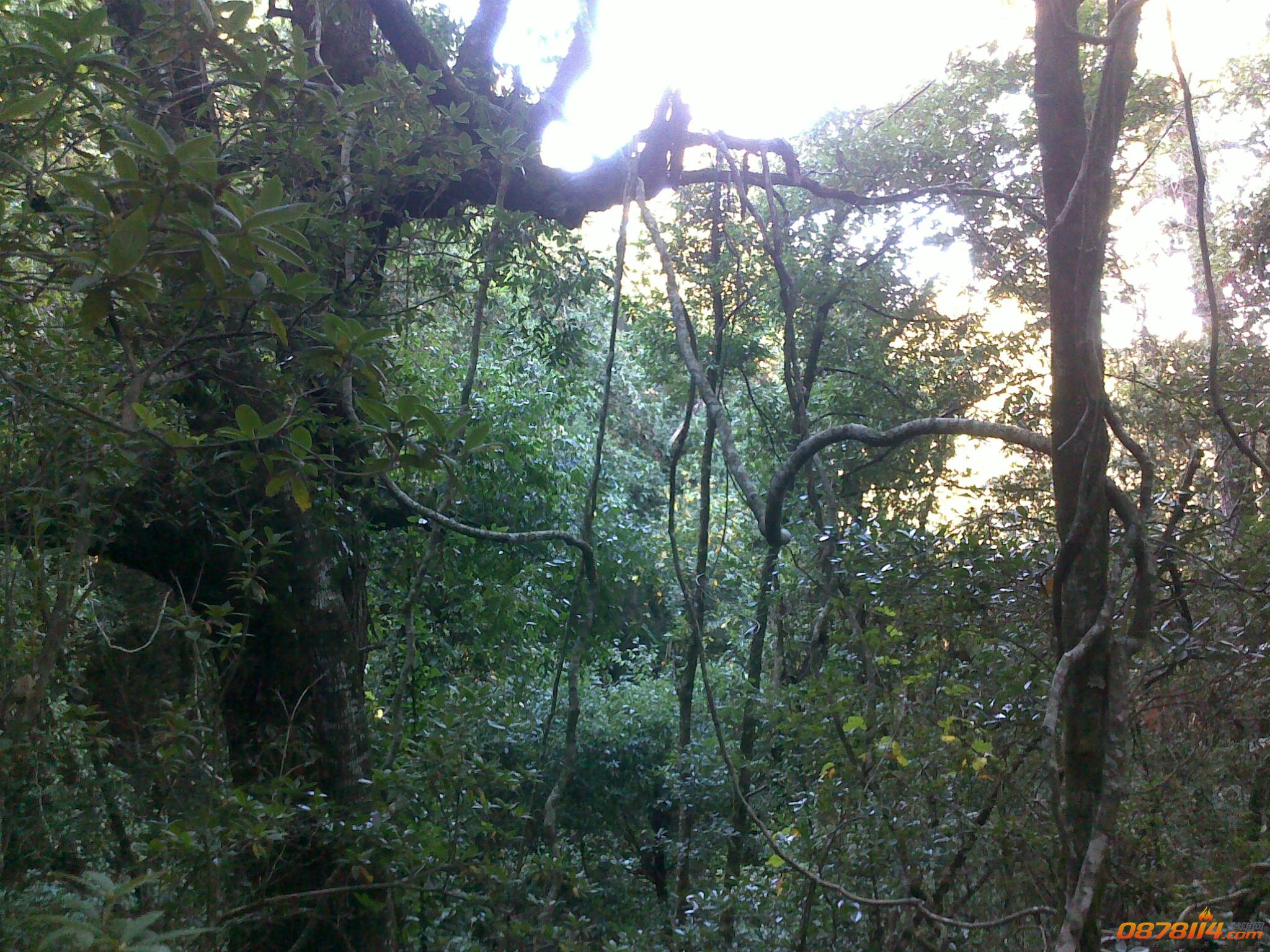 201211262898.jpg