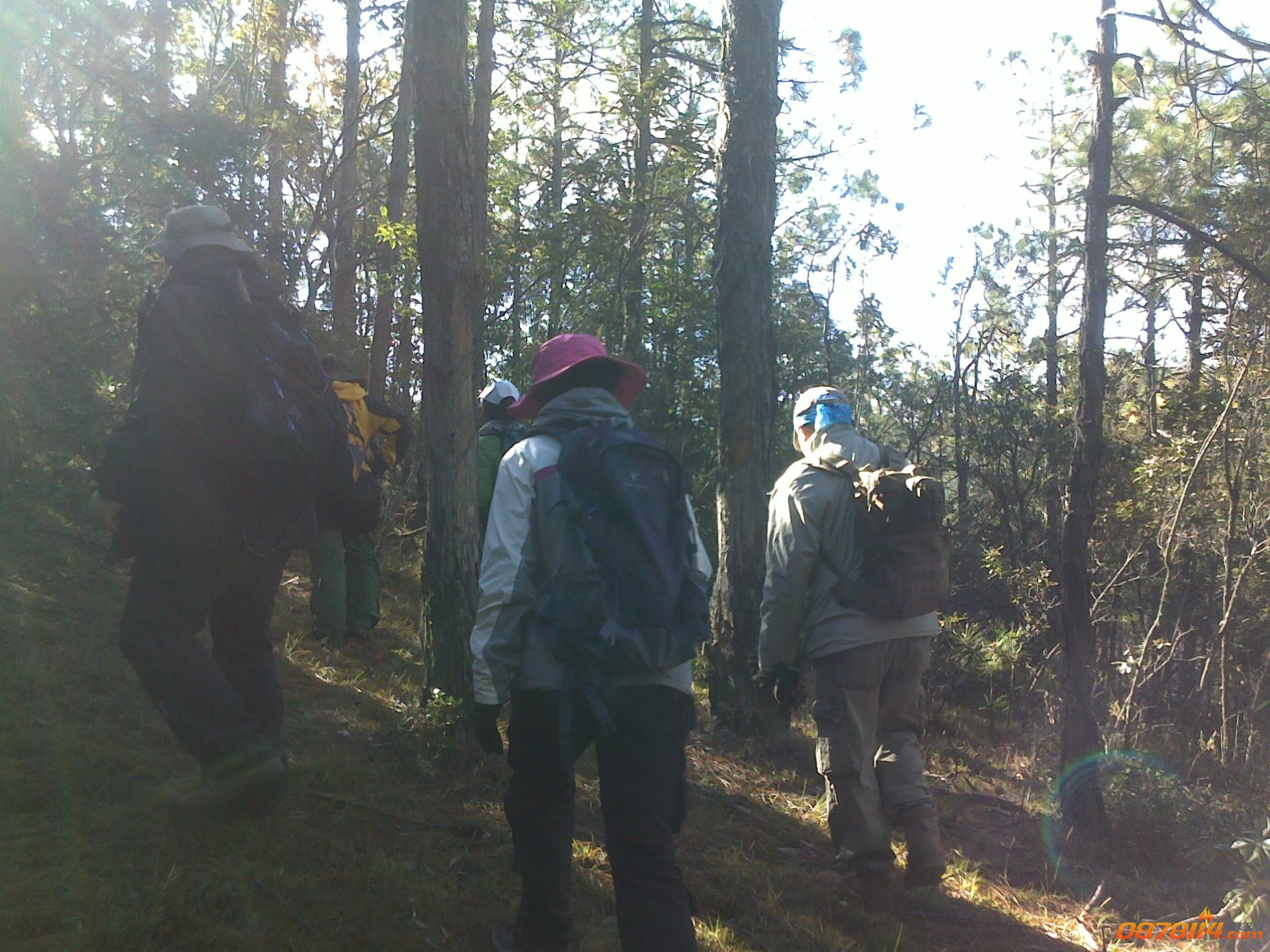201211262909.jpg