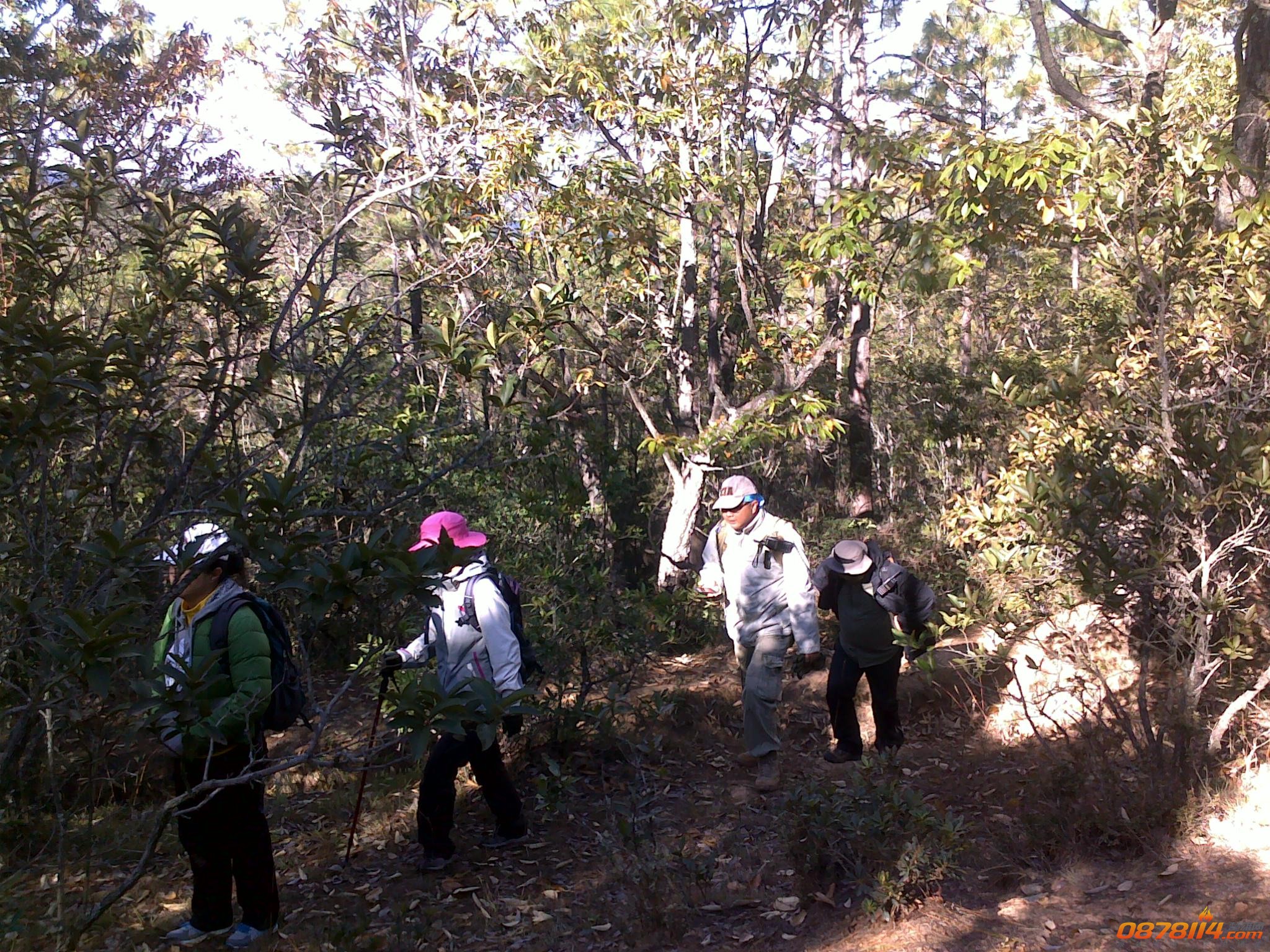 201211262912.jpg