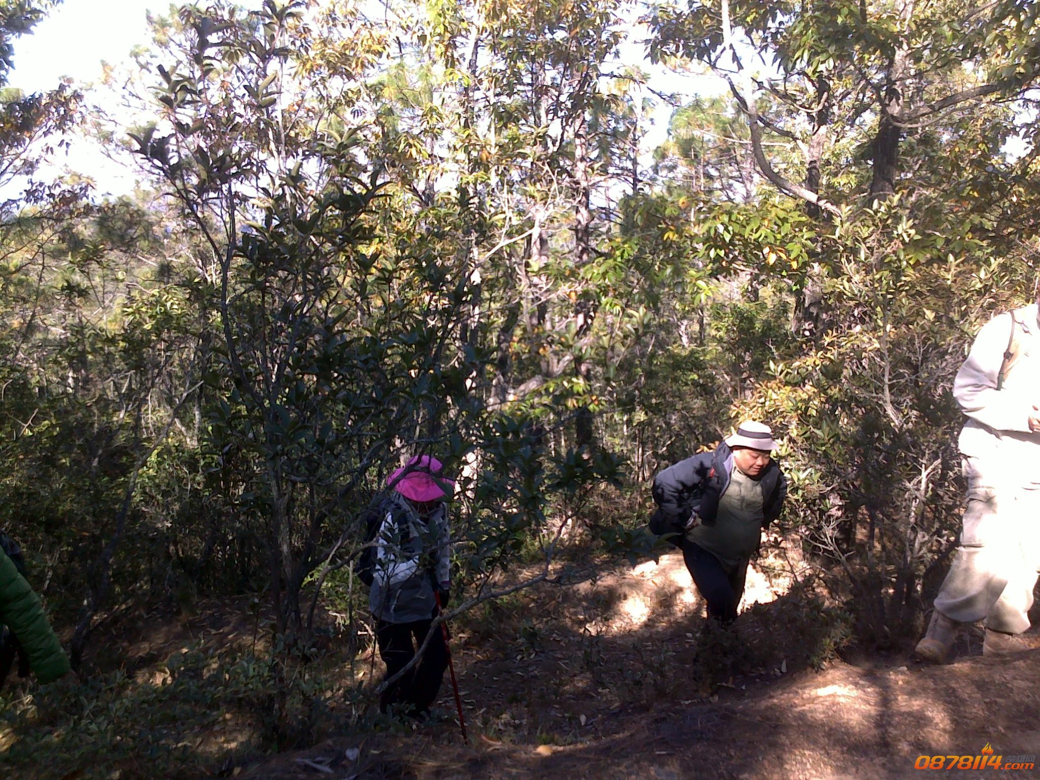 201211262913.jpg