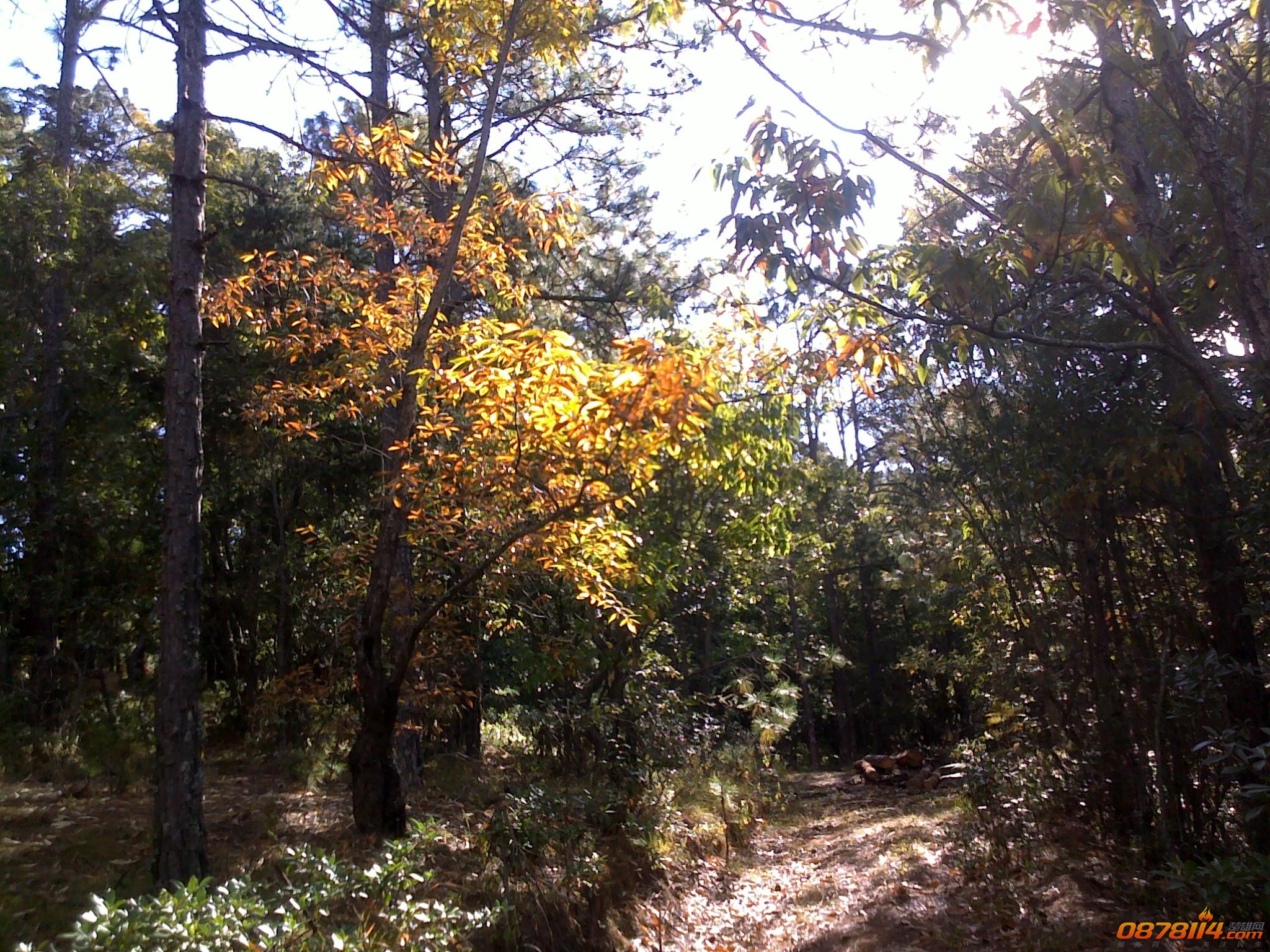 201211262916.jpg