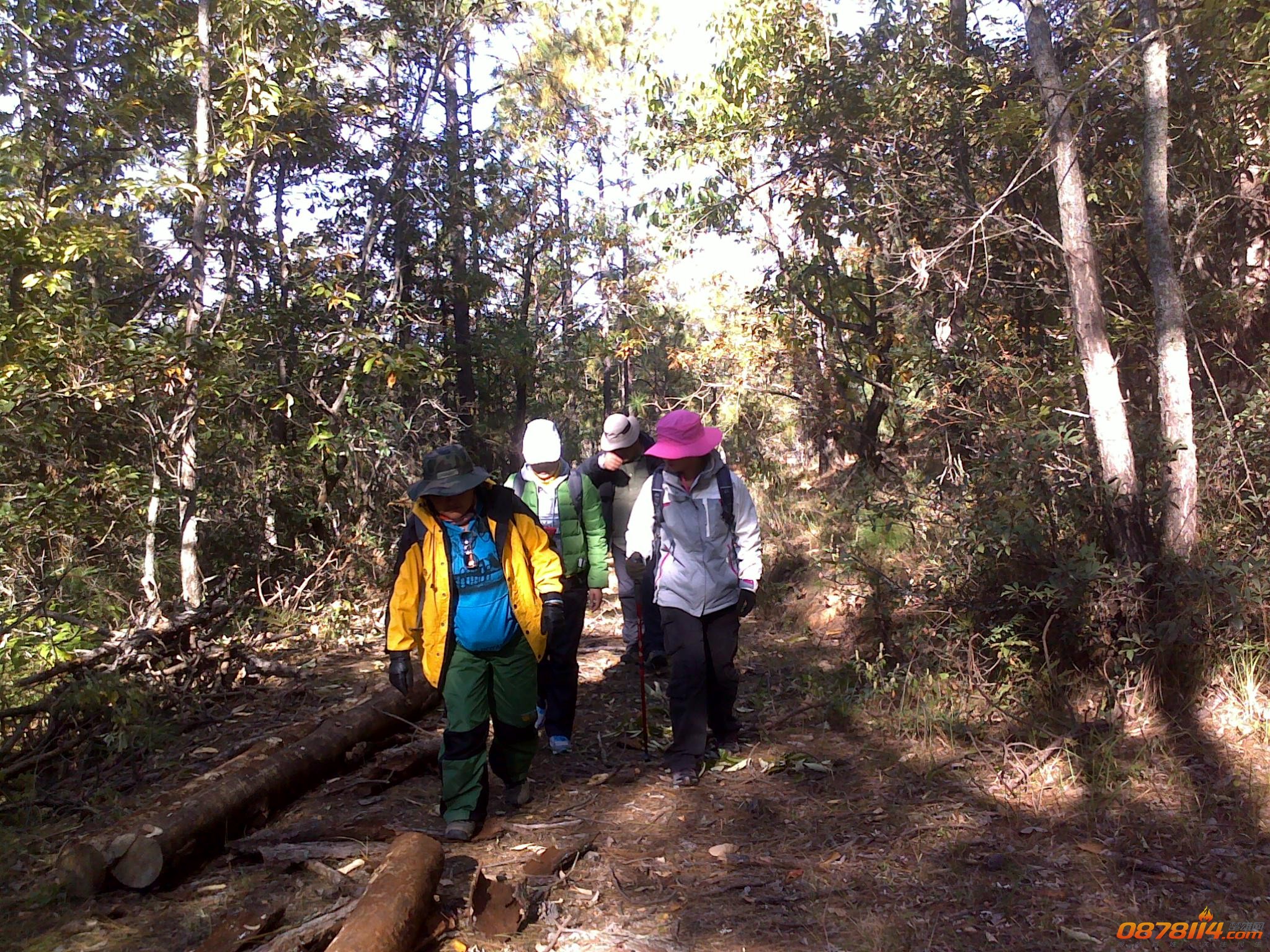 201211262918.jpg