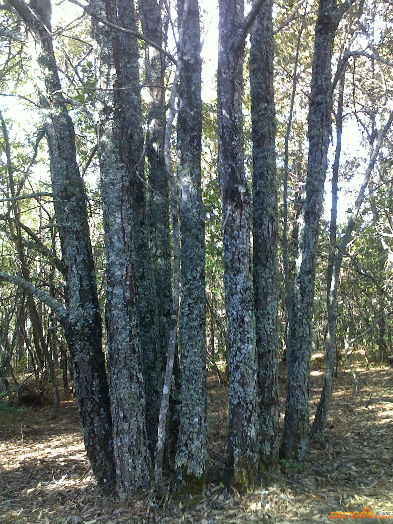 201211262932.jpg