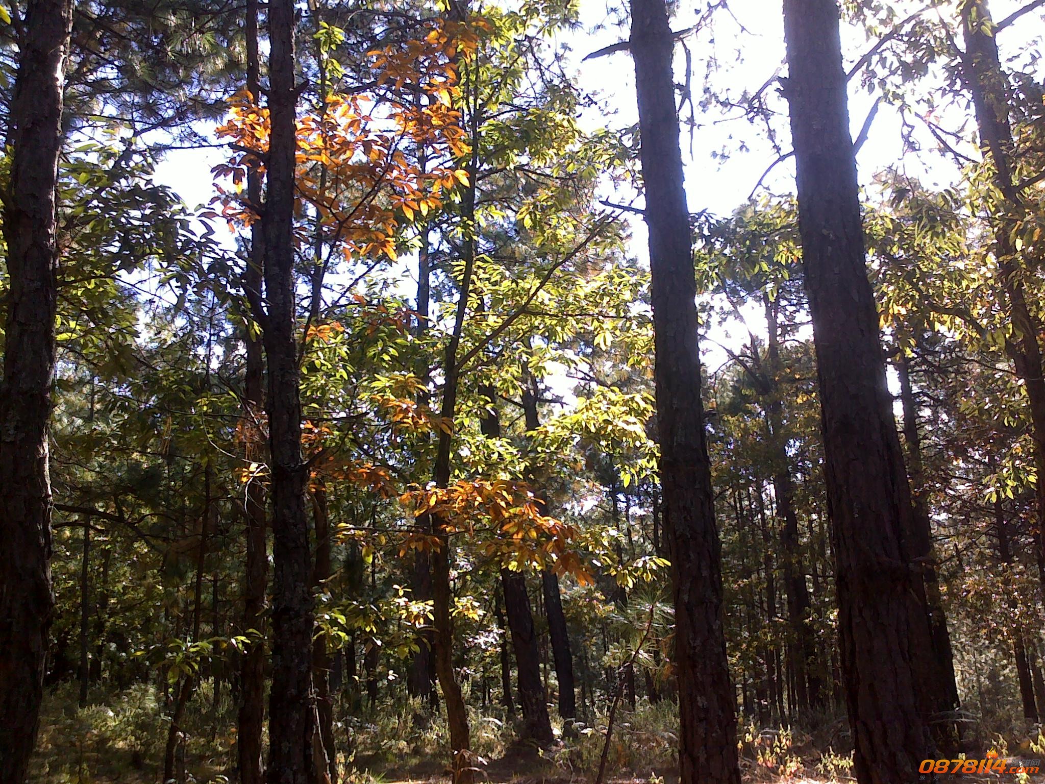 201211262937.jpg