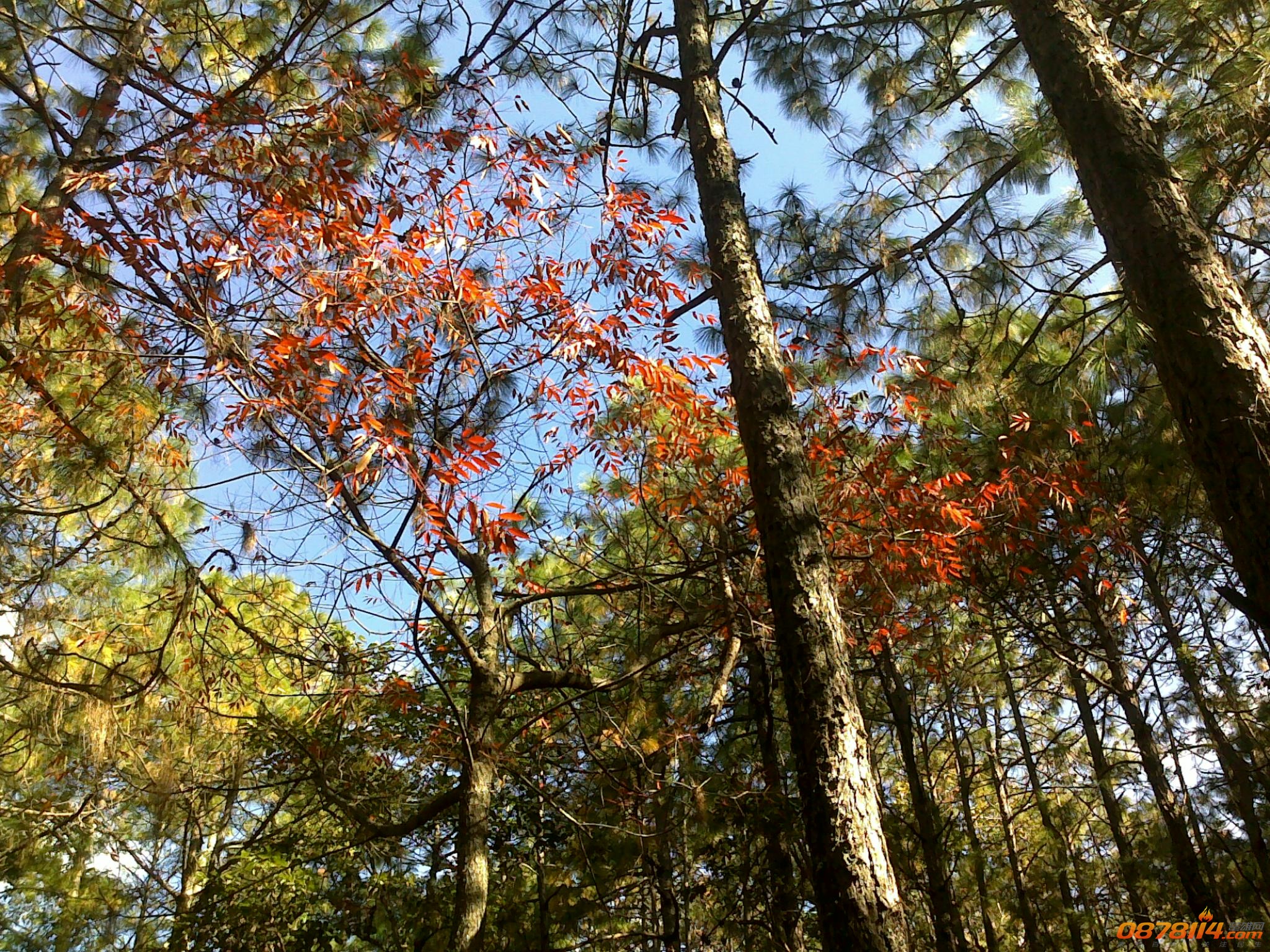 201211262955.jpg