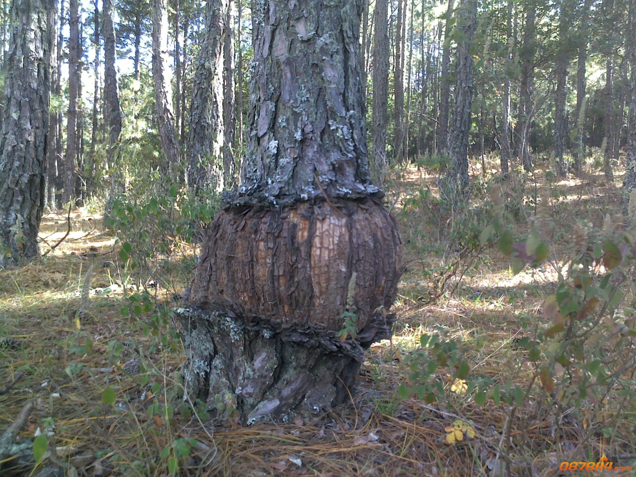 201211262966.jpg