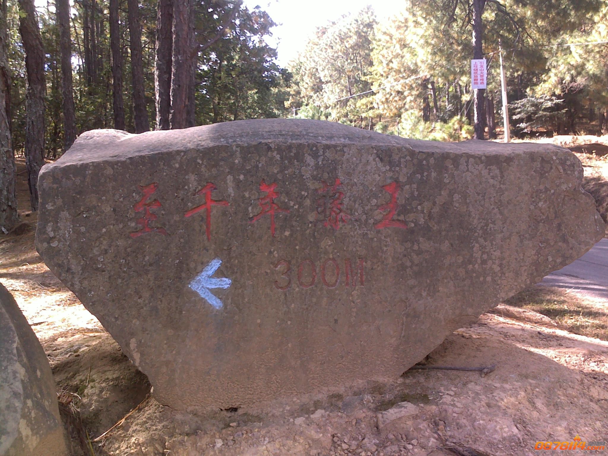 201211262969.jpg
