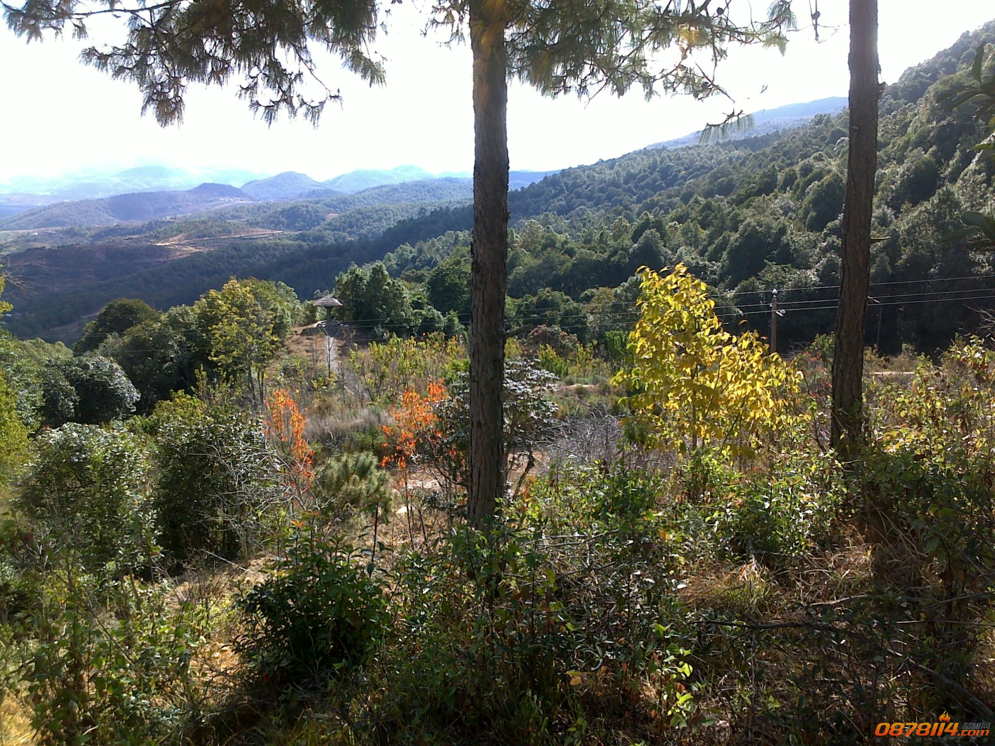 201211262970.jpg