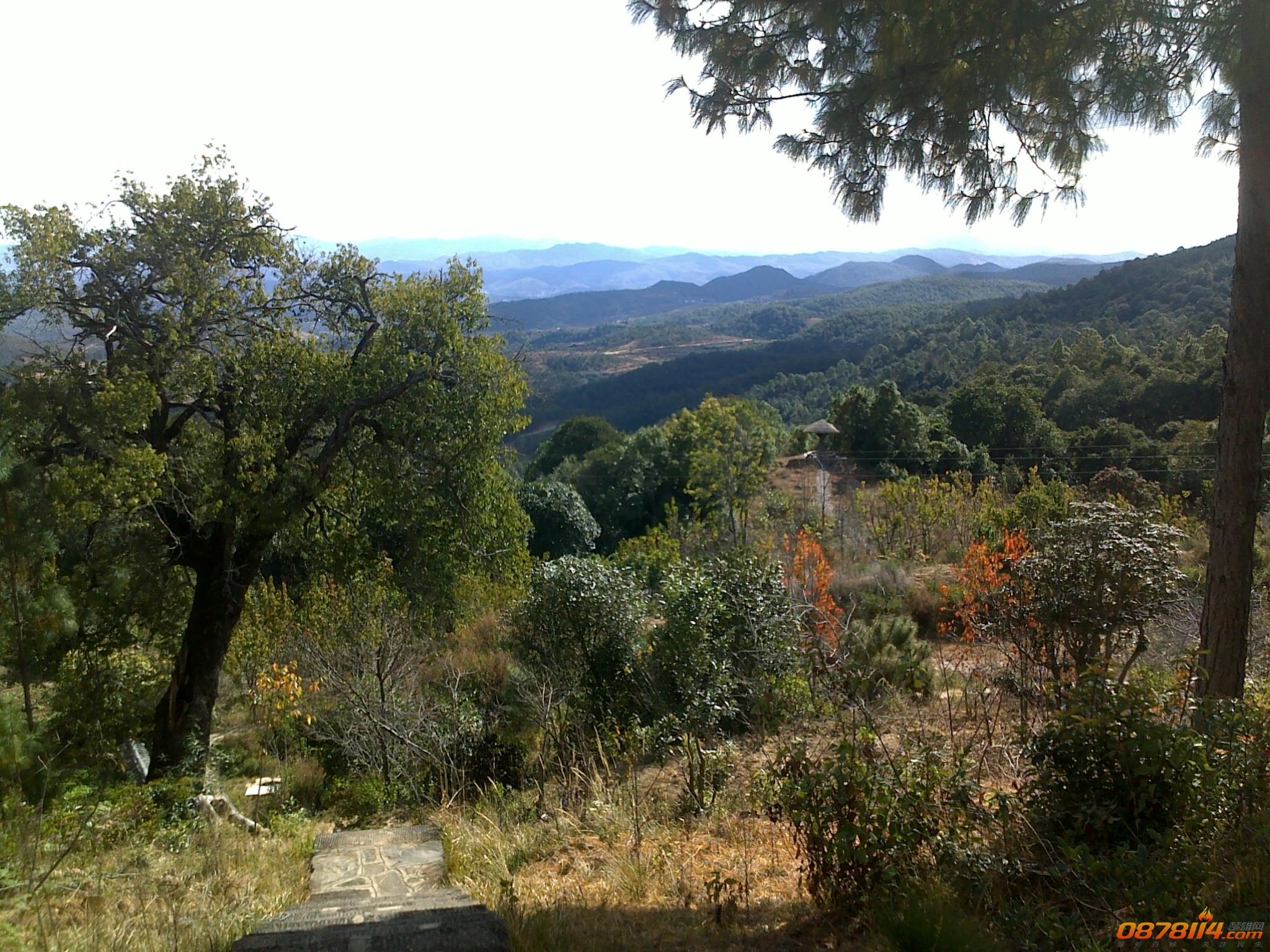 201211262976.jpg