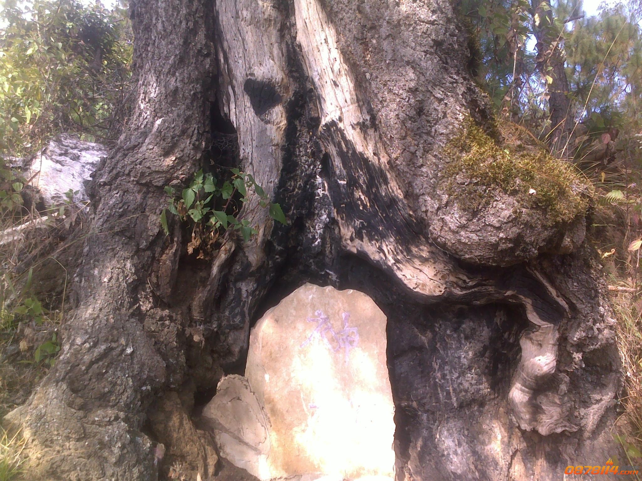 201211262979.jpg