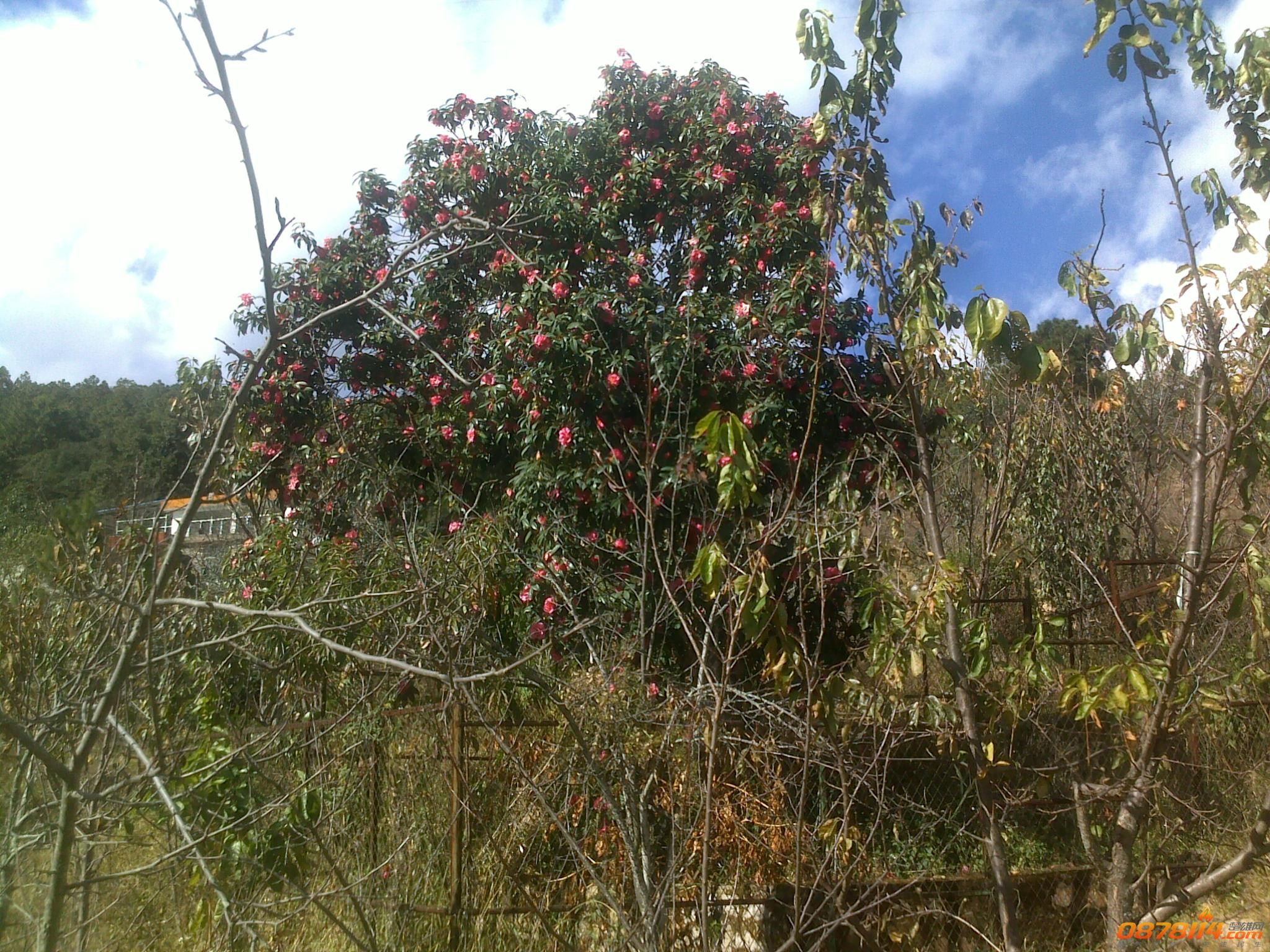 201211262984.jpg