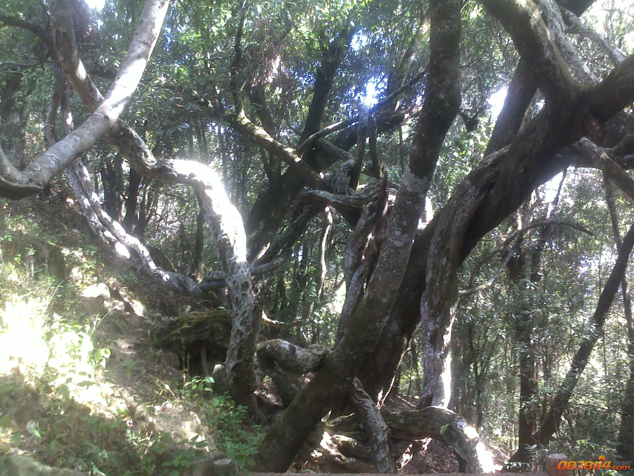 201211262987.jpg