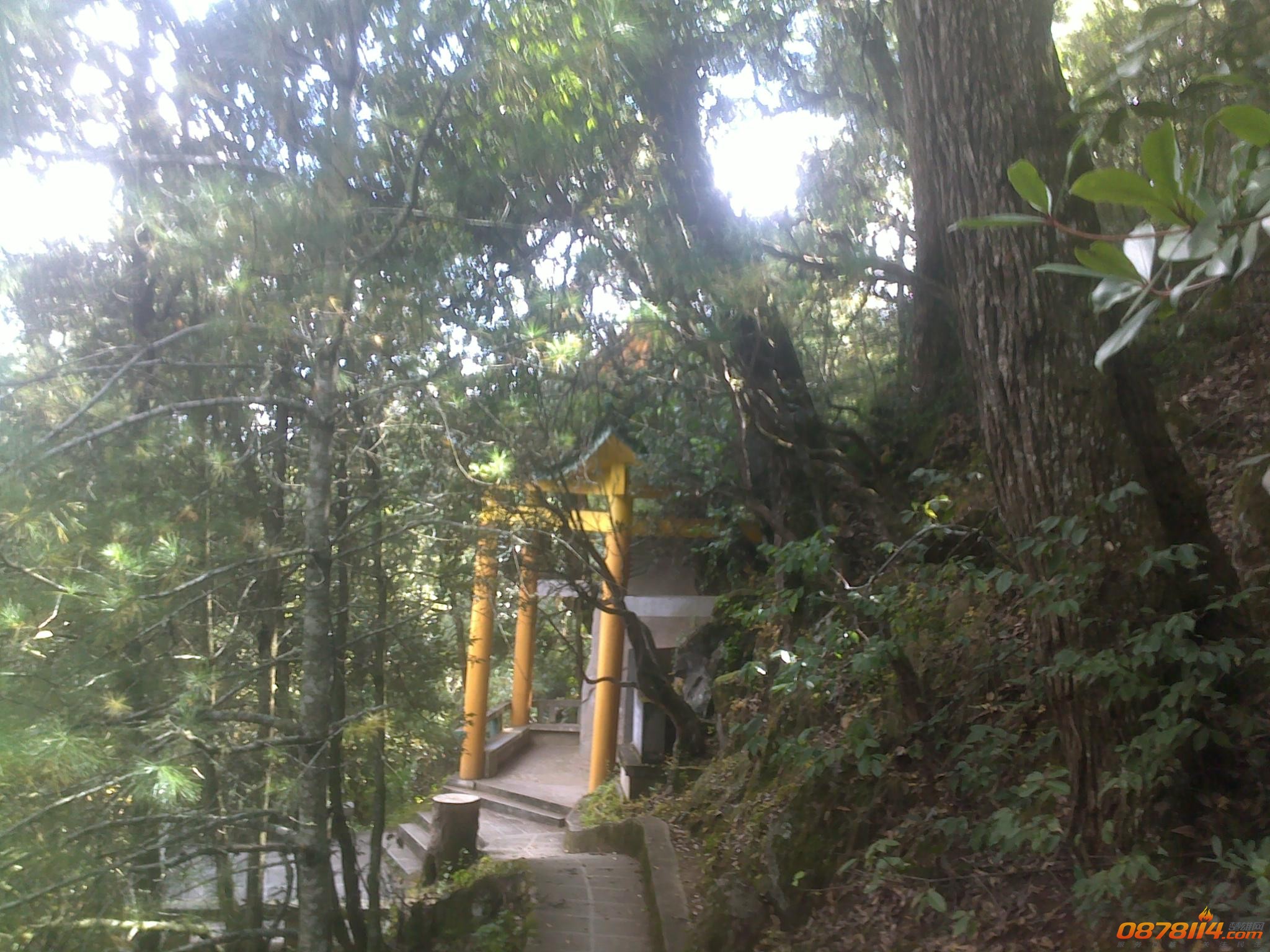 201211263010.jpg