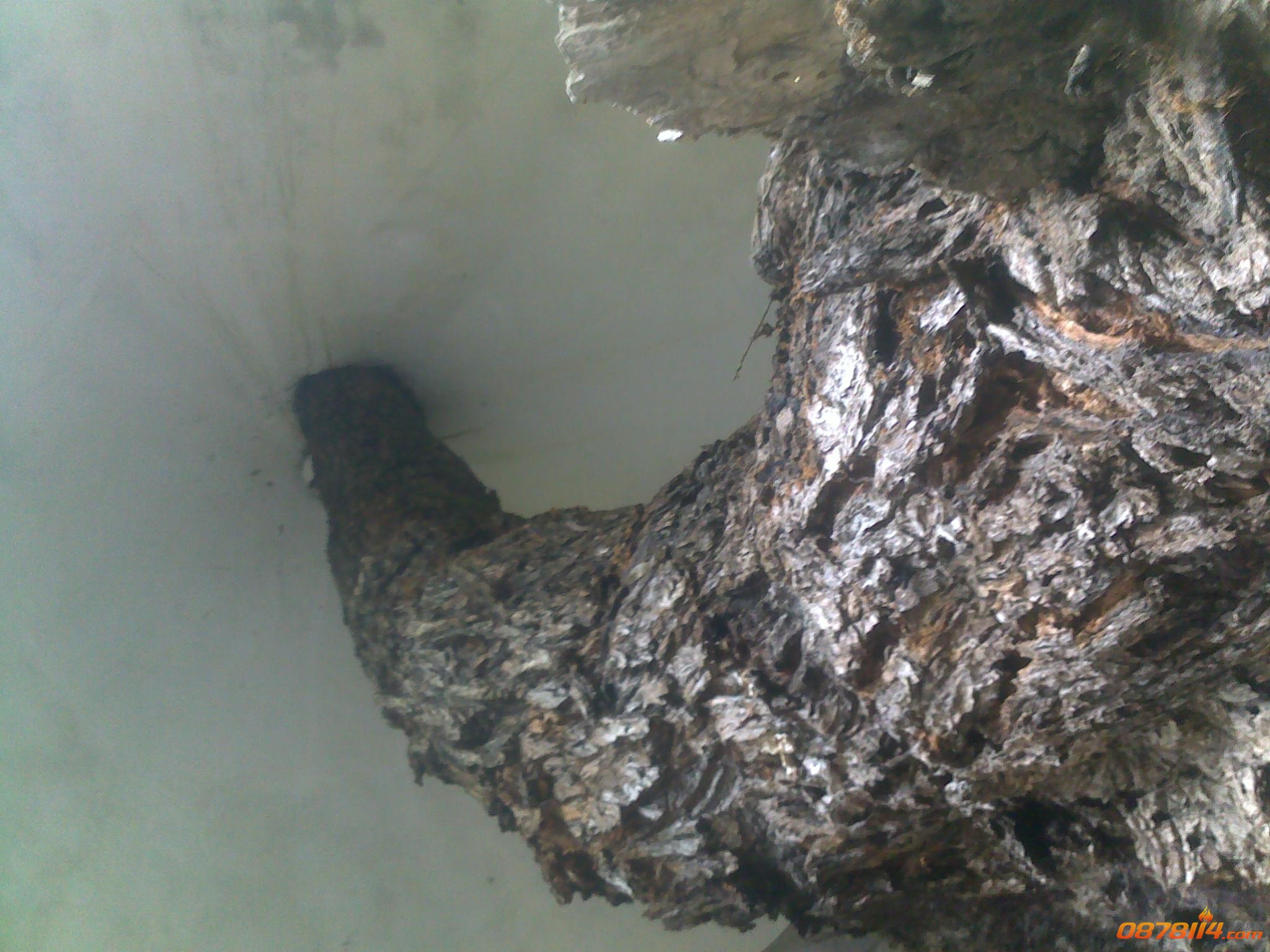 201211263014.jpg