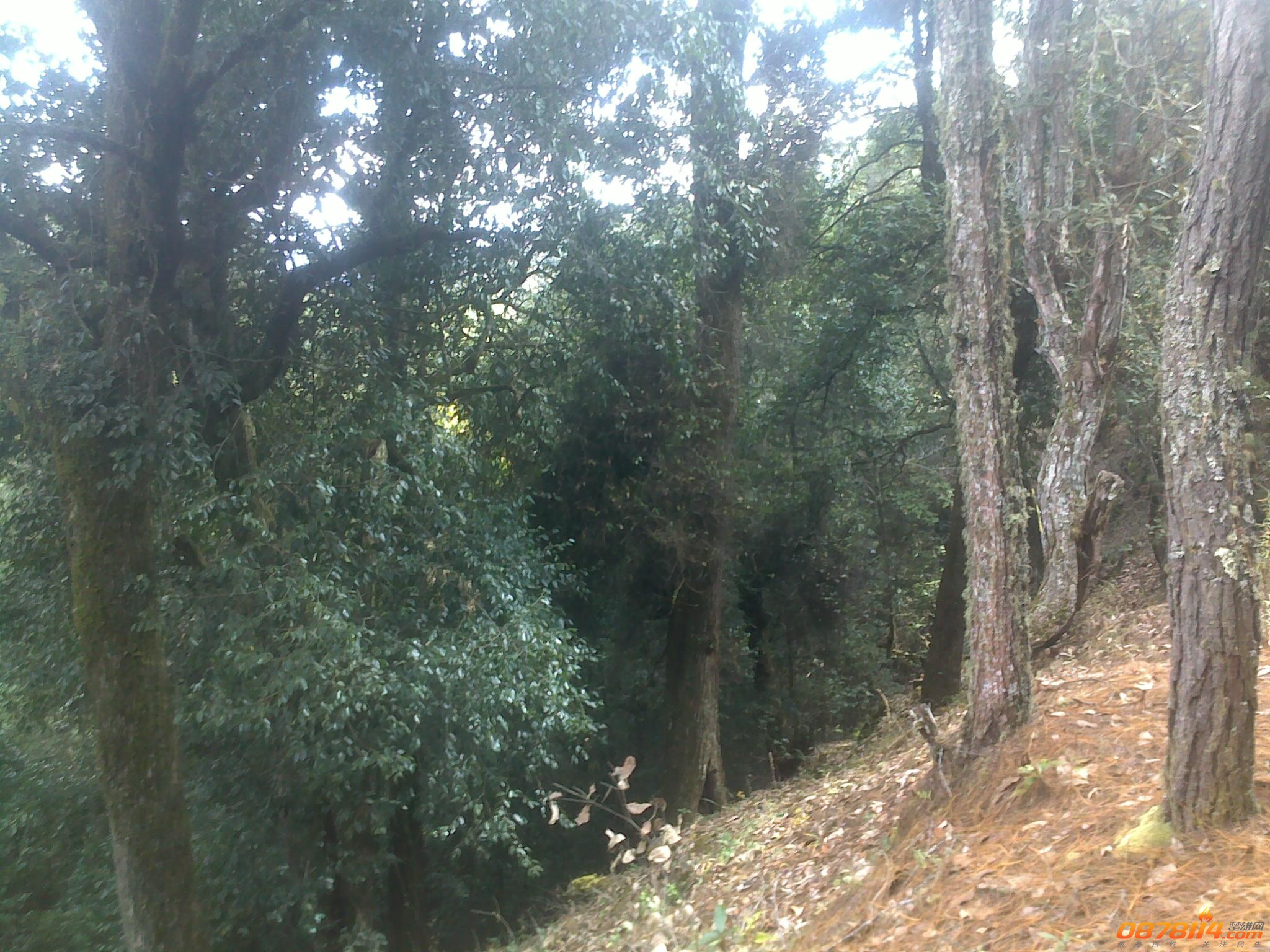 201211263033.jpg