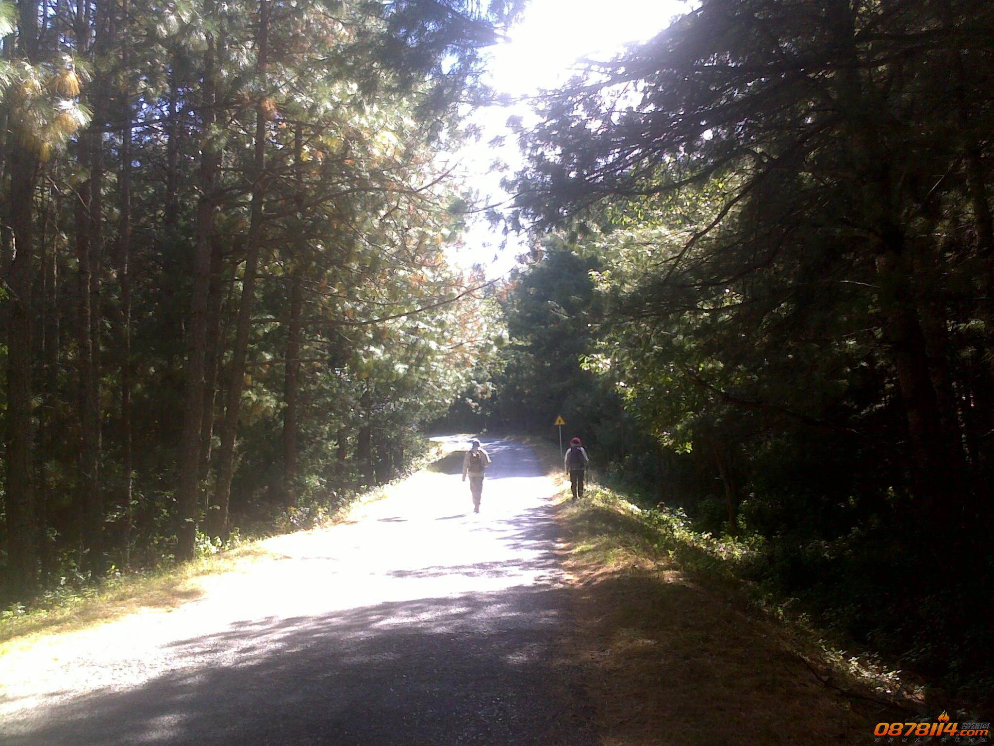 201211263041.jpg
