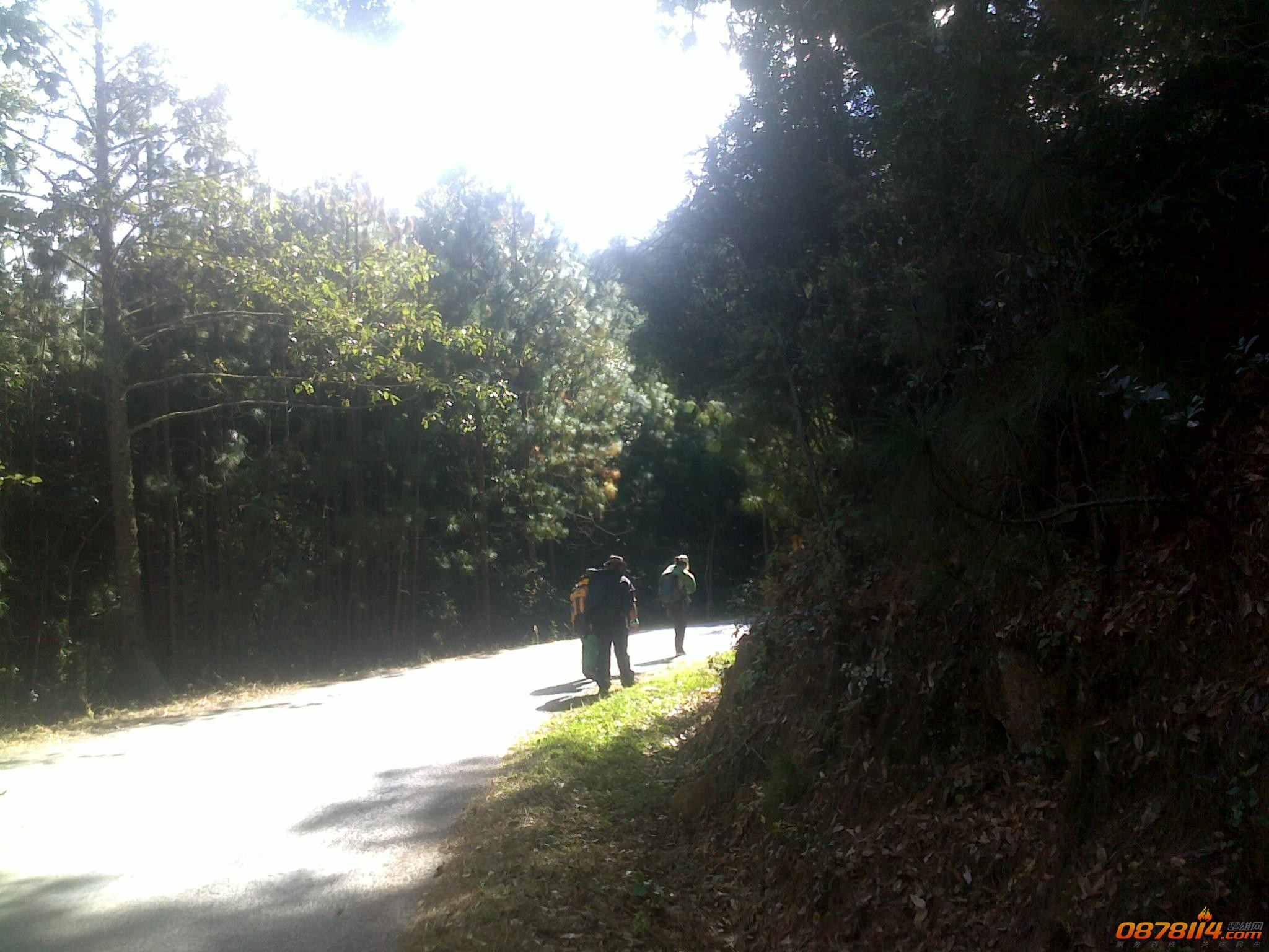 201211263045.jpg