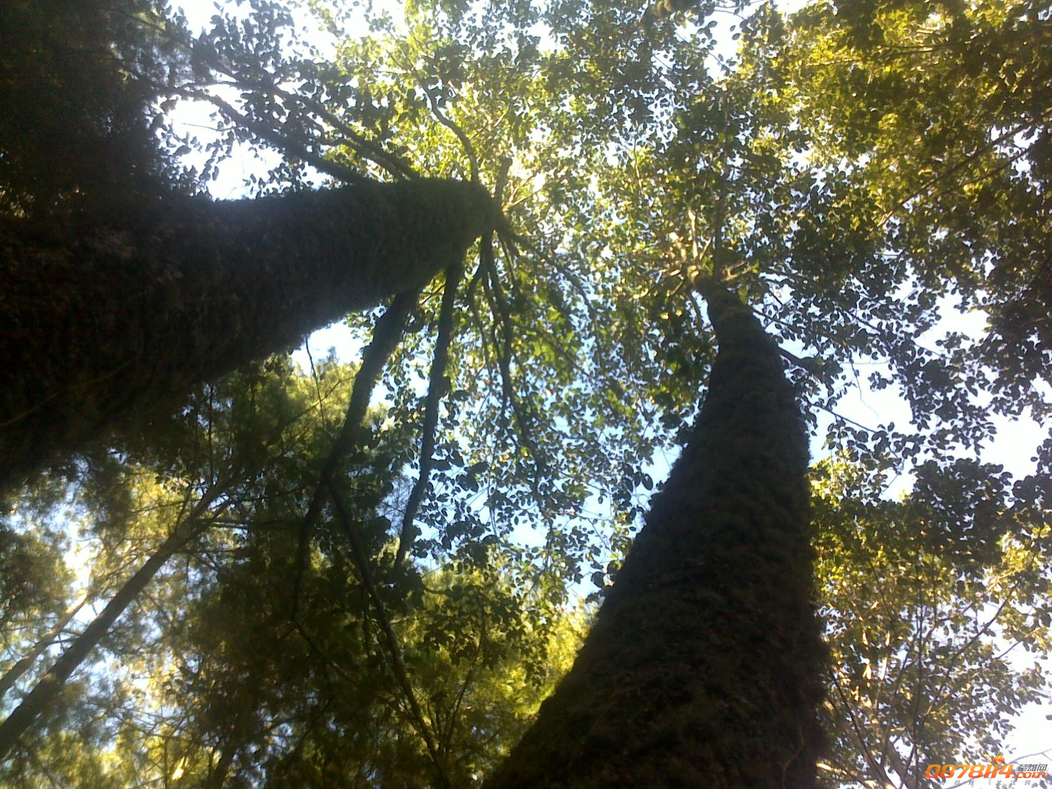 201211263051.jpg