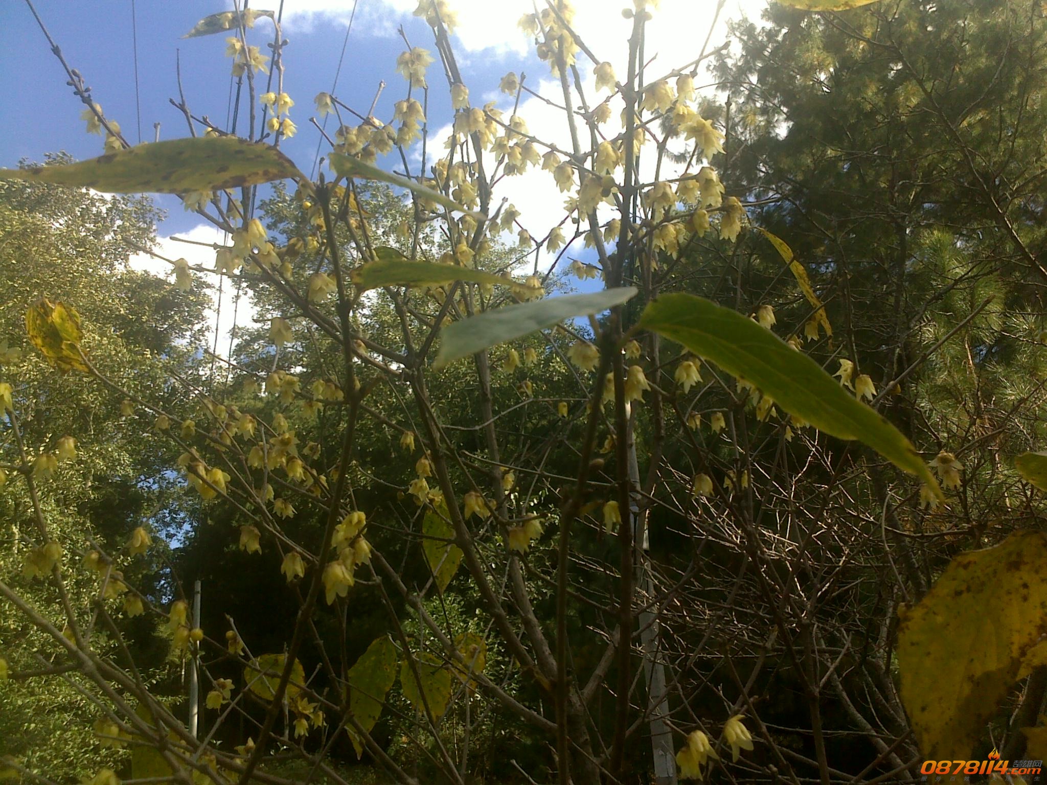 201211263060.jpg