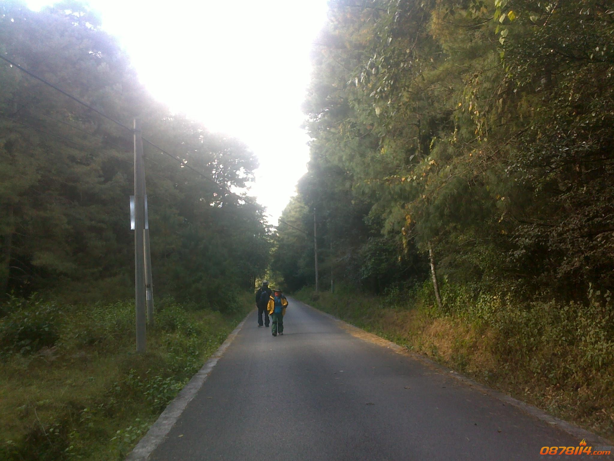 201211263068.jpg