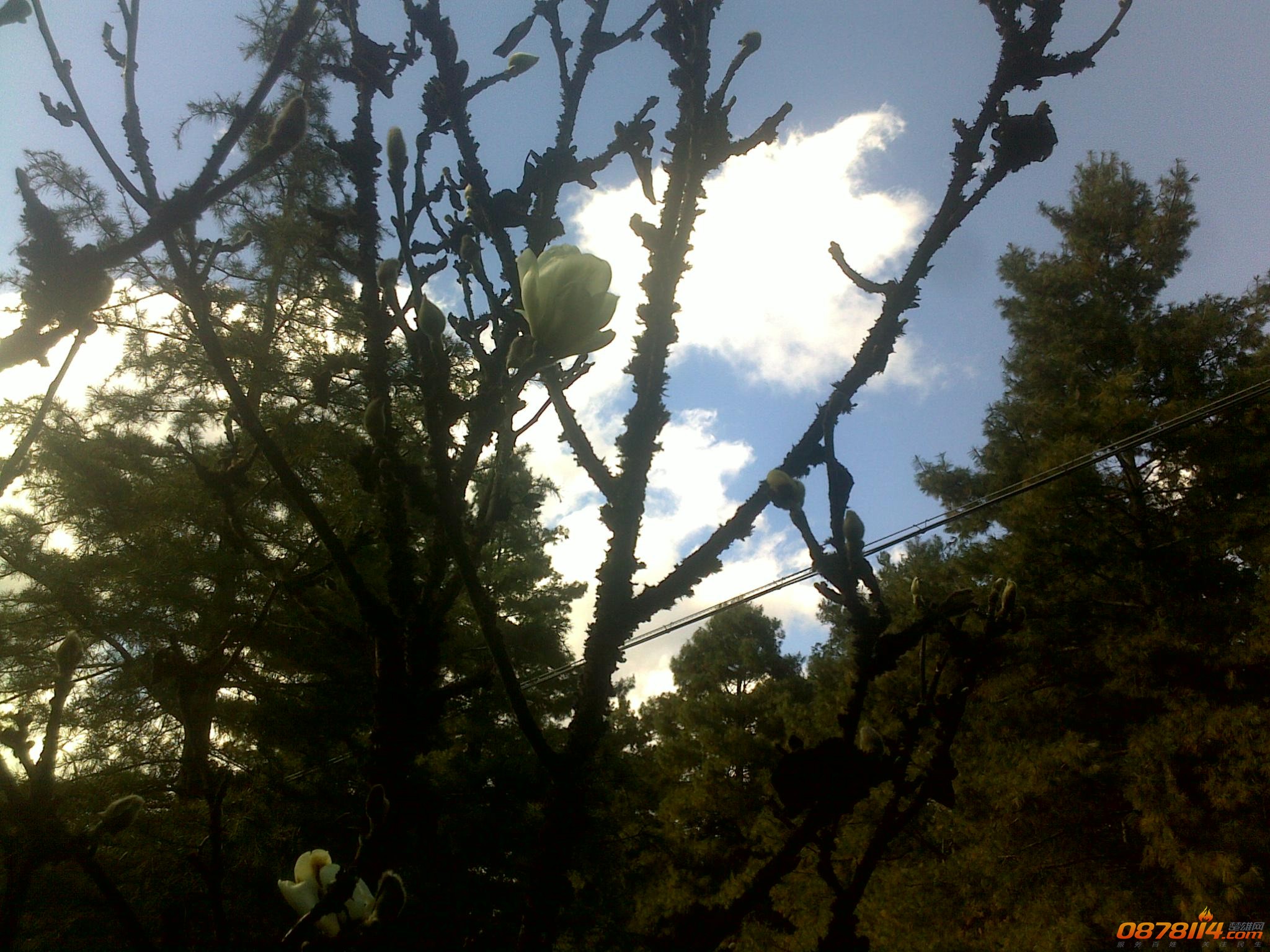 201211263081.jpg
