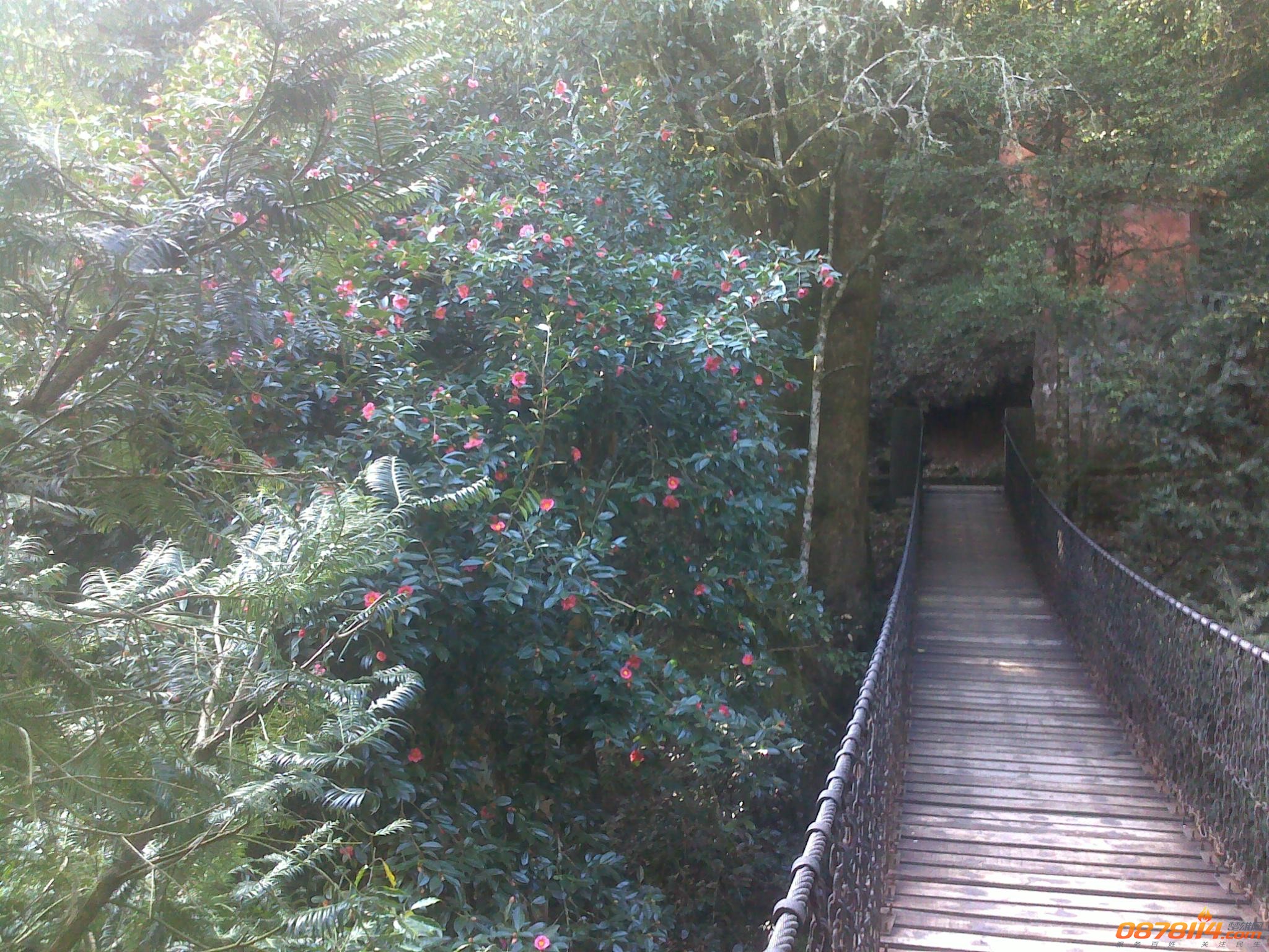 201211263094.jpg