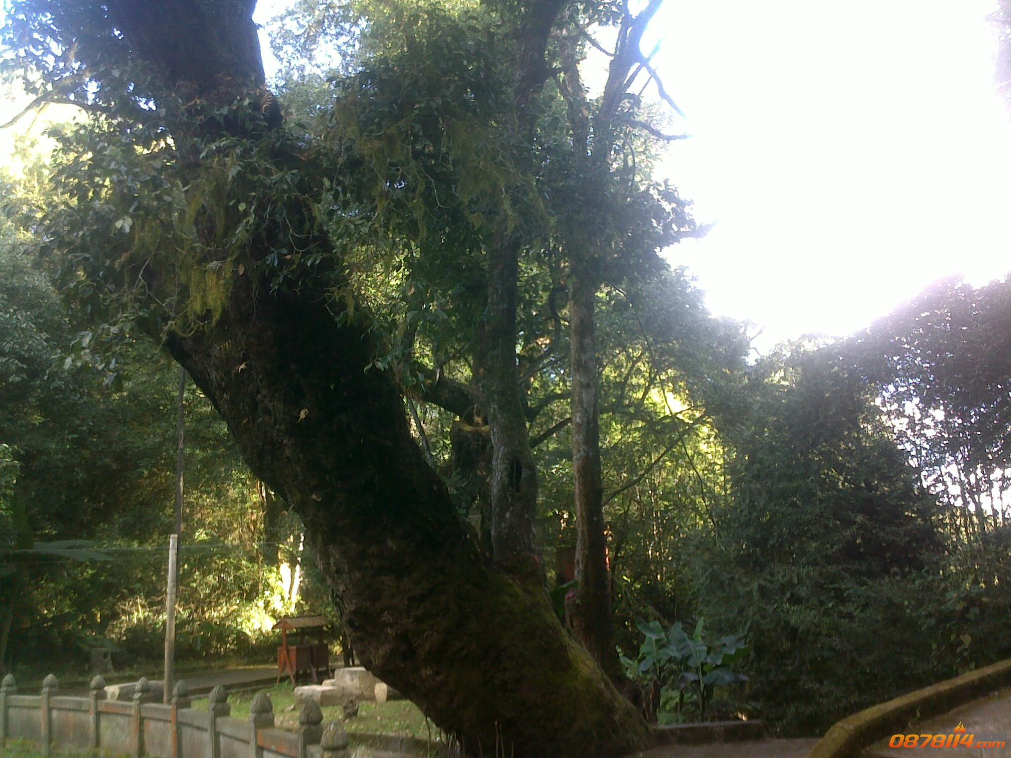 201211263108.jpg